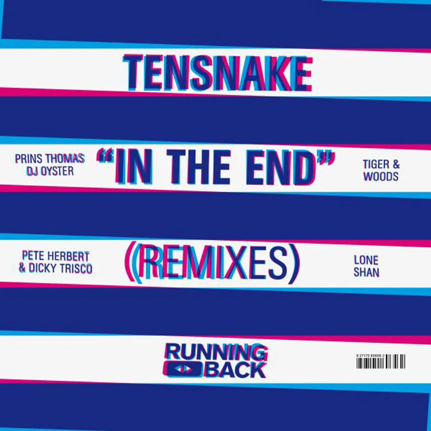Tensnake IN THE END Vinyl Record