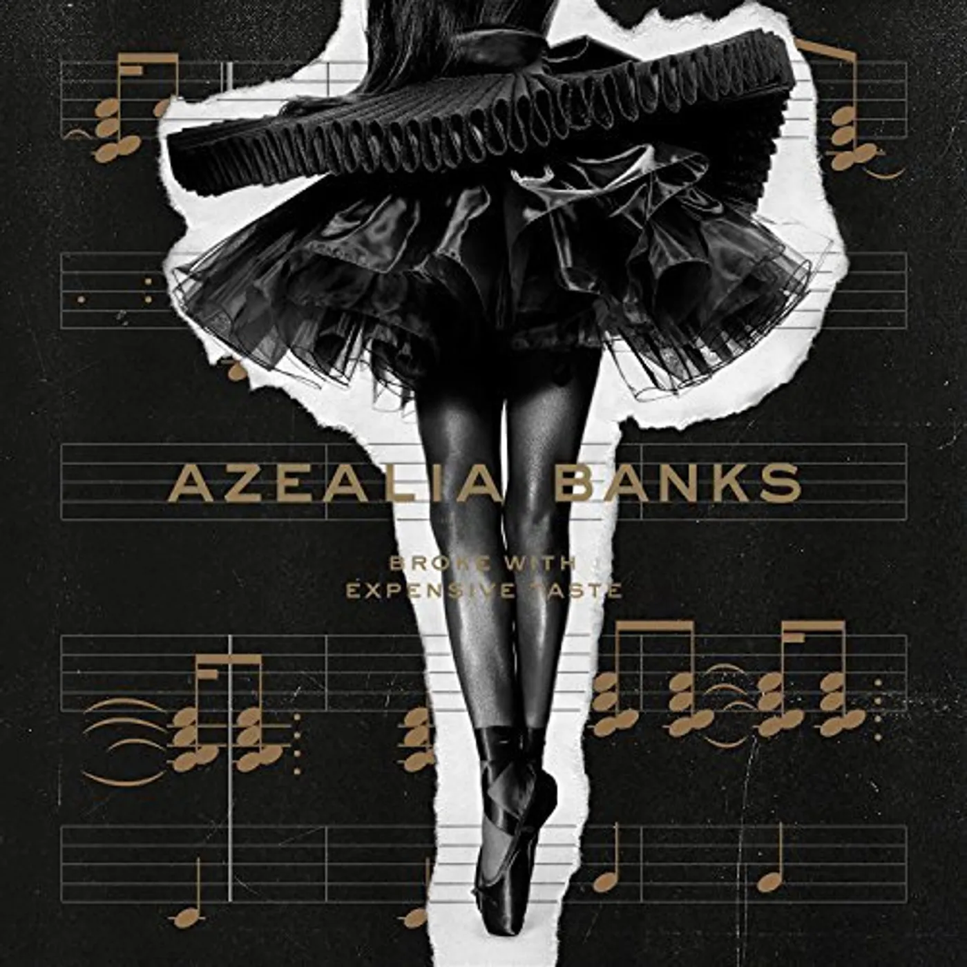 Azealia Banks Broke With Expensive Taste Vinyl Record