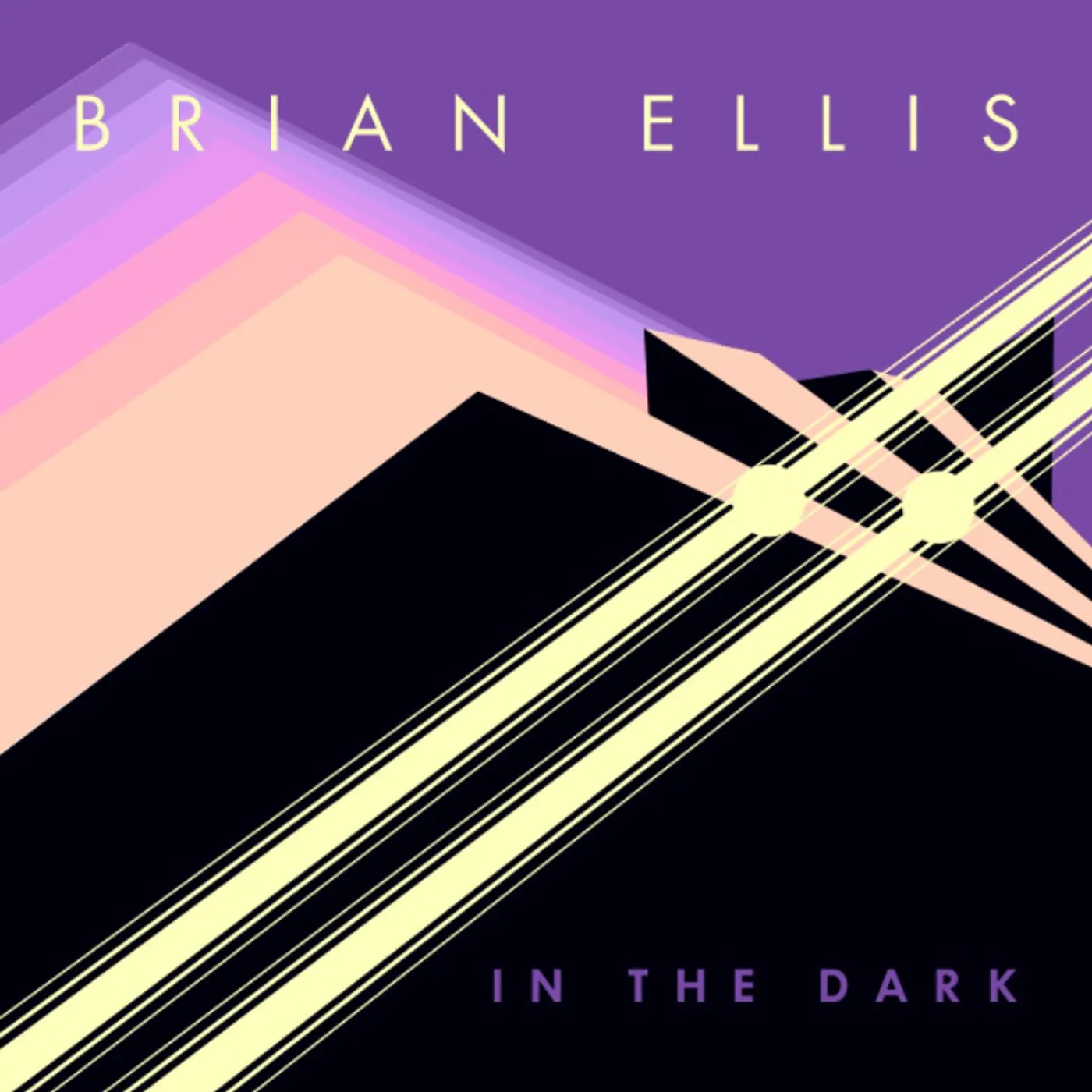 Brian Ellis In The Dark Vinyl Record