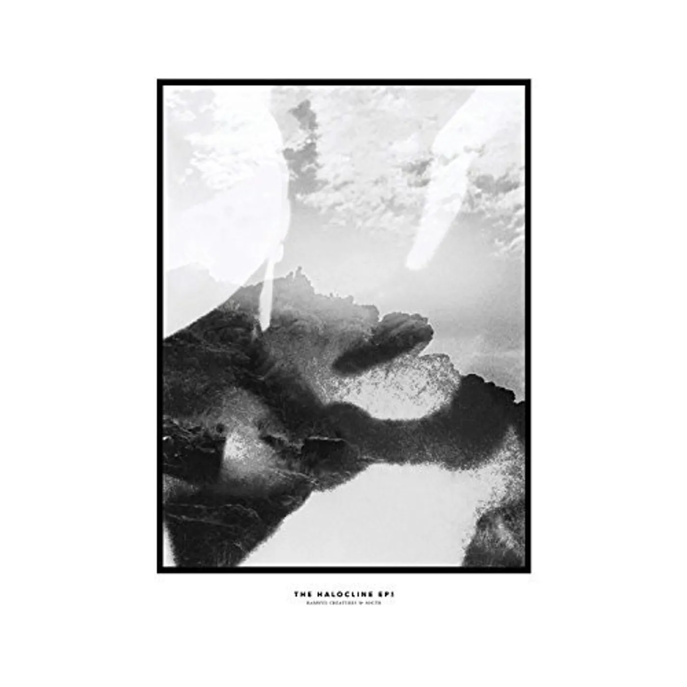 Hippo Campus HALOCLINE EPS CD