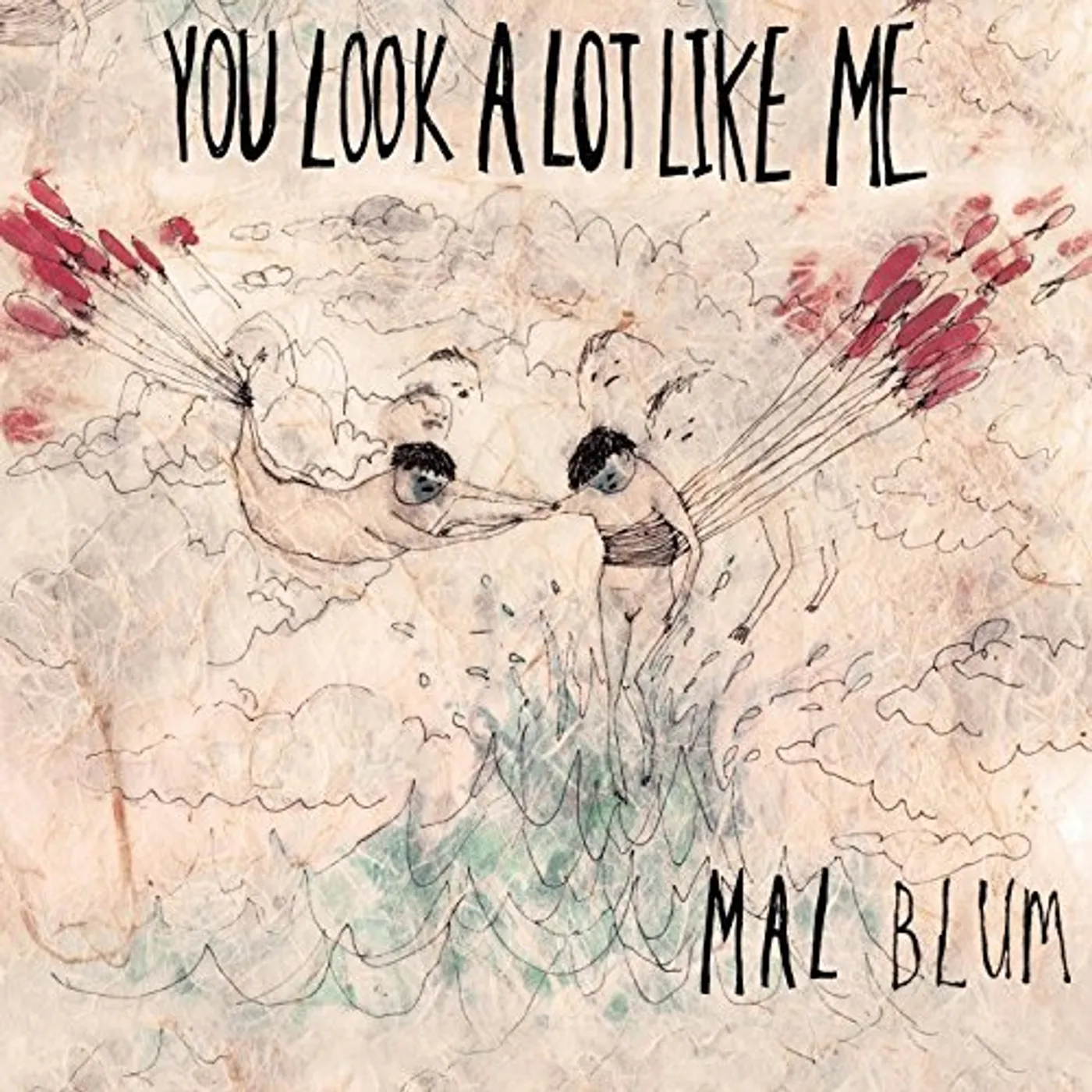 Mal Blum YOU LOOK A LOT LIKE ME CD
