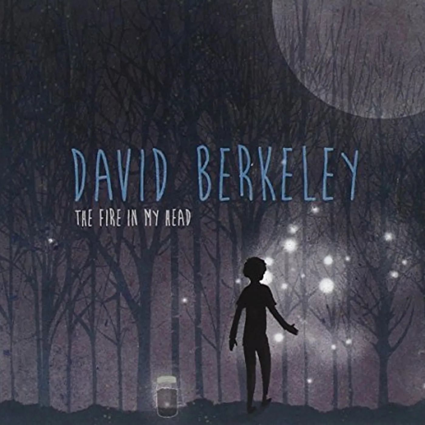 David Berkeley FIRE IN MY HEAD CD