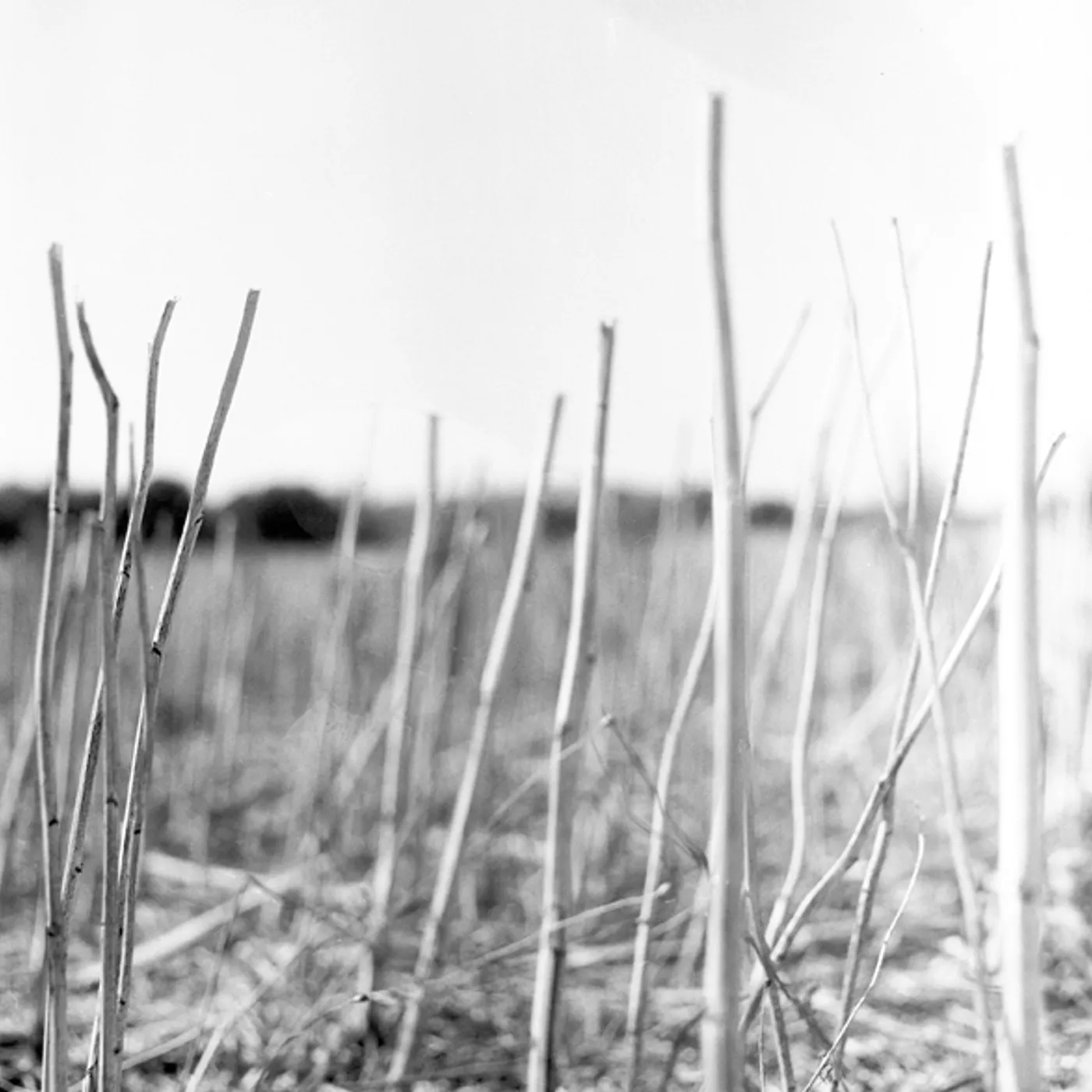 Recondite On Acid Vinyl Record