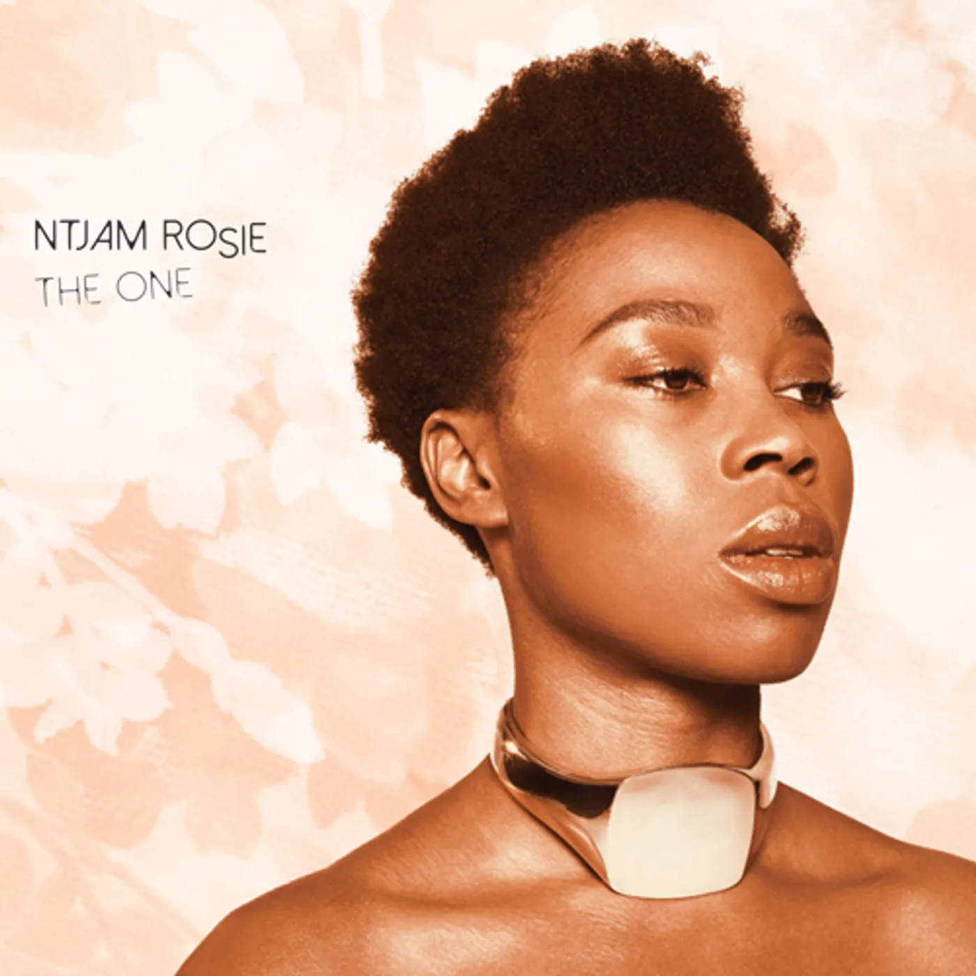 Ntjam Rosie ONE Vinyl Record
