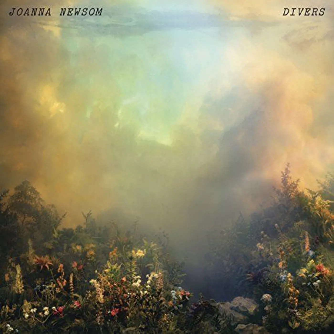 Joanna Newsom DIVERS Vinyl Record