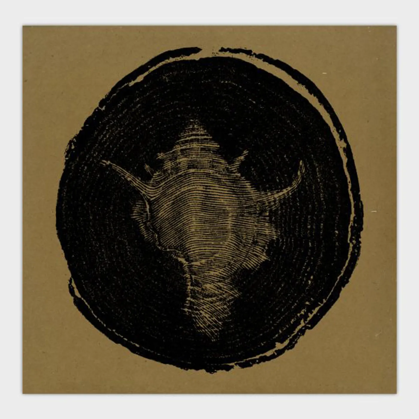 Desolate WITHERING BEAUTY Vinyl Record