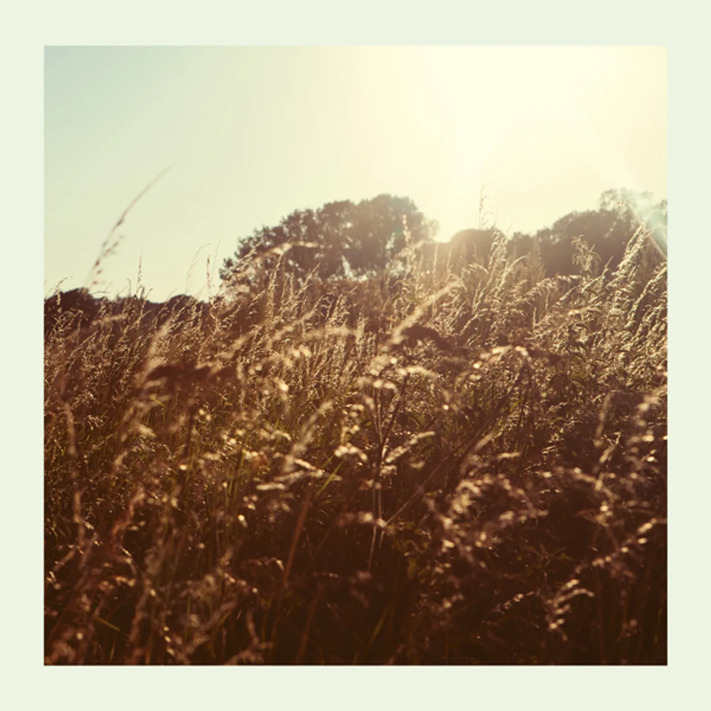 Marquis Hawkes Sweet Vinyl Record