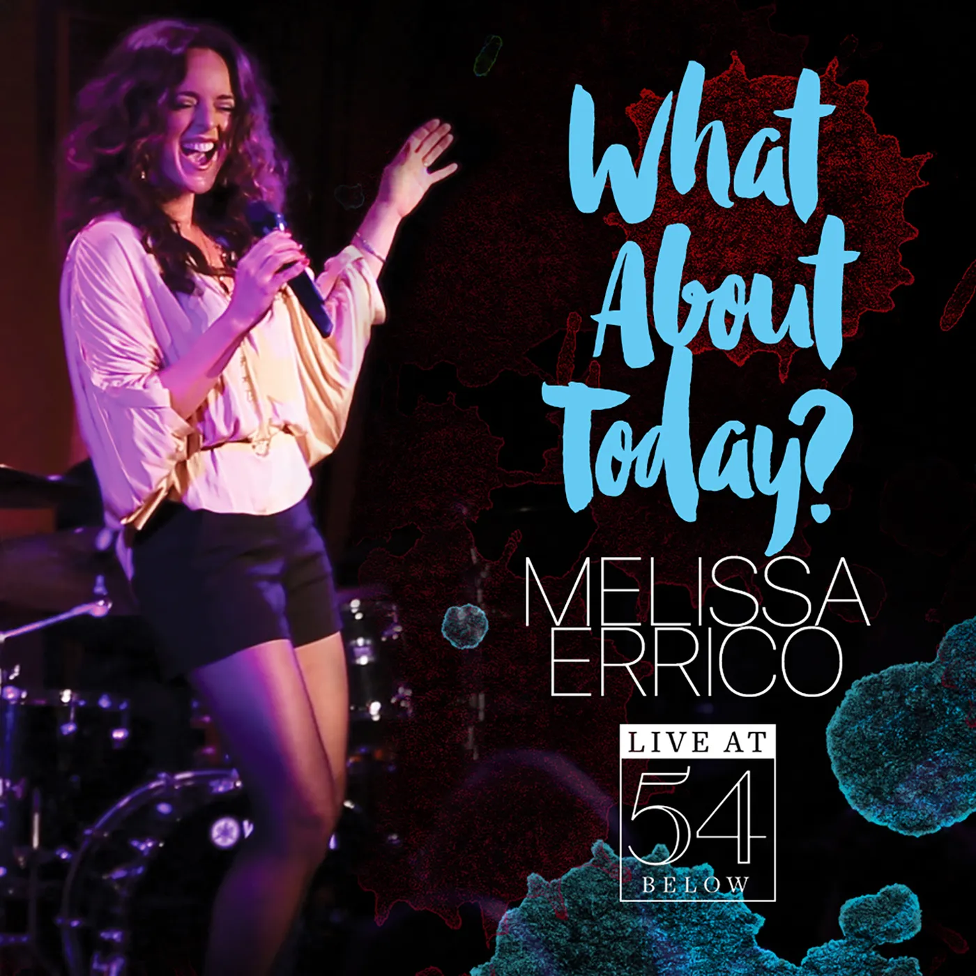 Melissa Errico WHAT ABOUT TODAY? - LIVE AT 54 BELOW CD