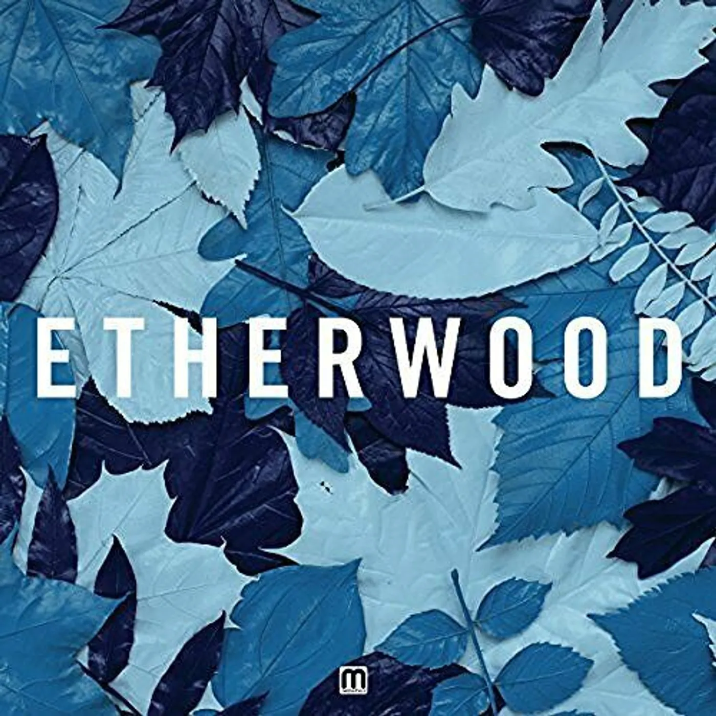 Etherwood BLUE LEAVES Vinyl Record - Canada Release