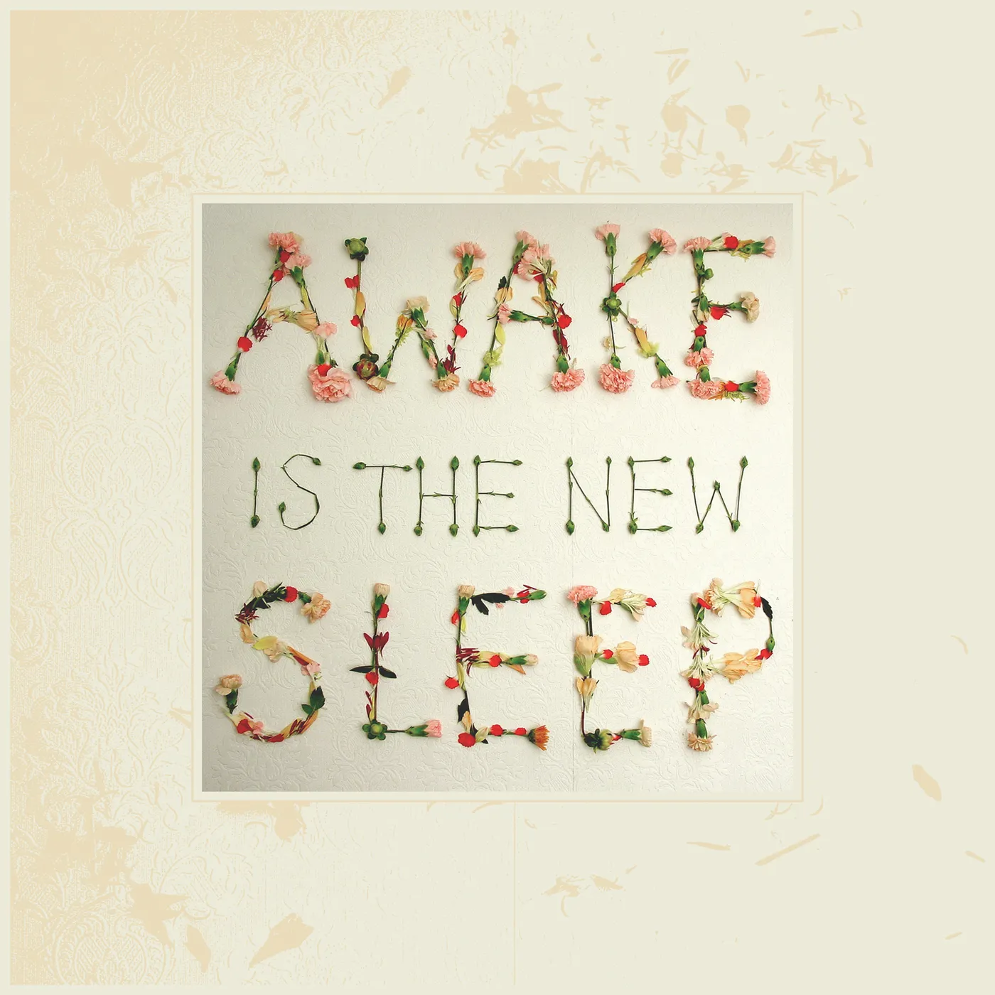 Ben Lee Awake Is the New Sleep Vinyl Record