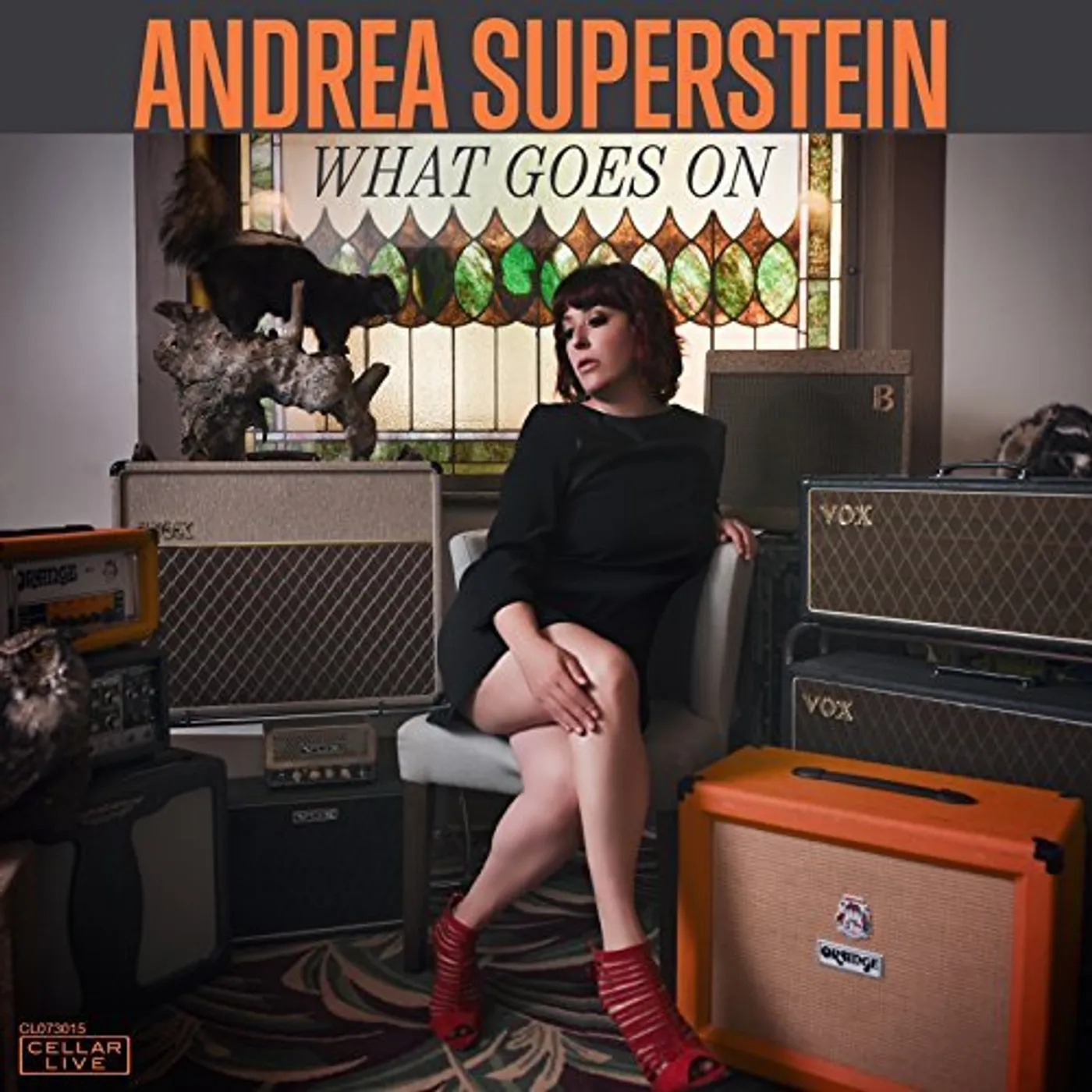 Andrea Superstein WHAT GOES ON CD