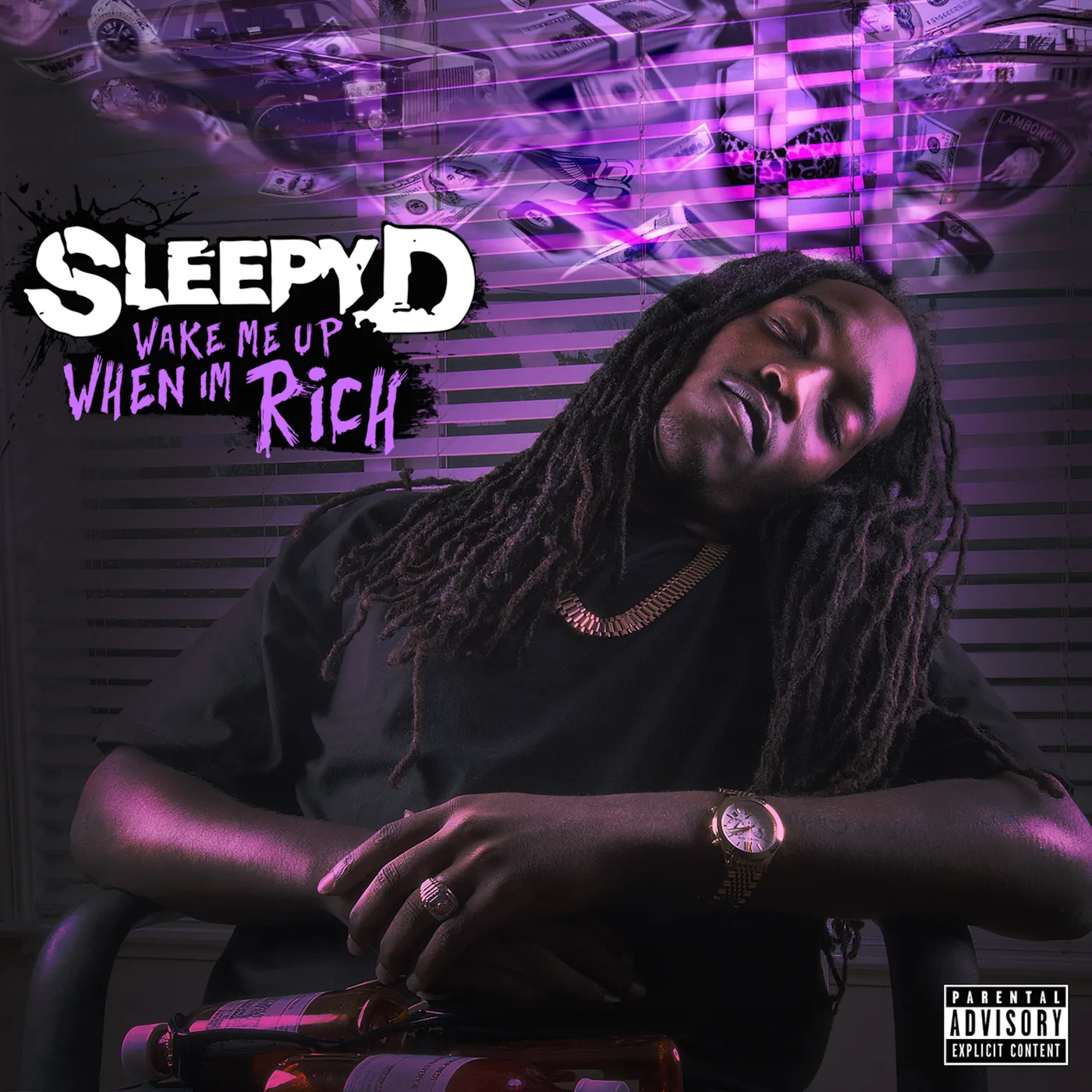 Sleepy D WAKE ME WHEN I'M RICH CD