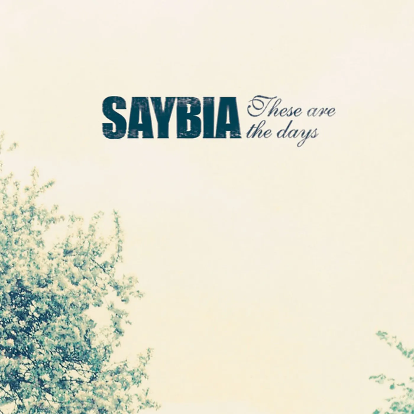 Saybia These Are The Days Vinyl Record