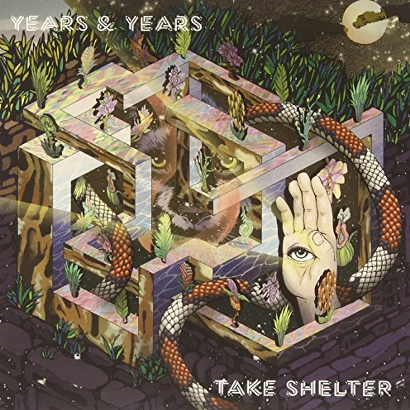 Years & Years Take Shelter Vinyl Record