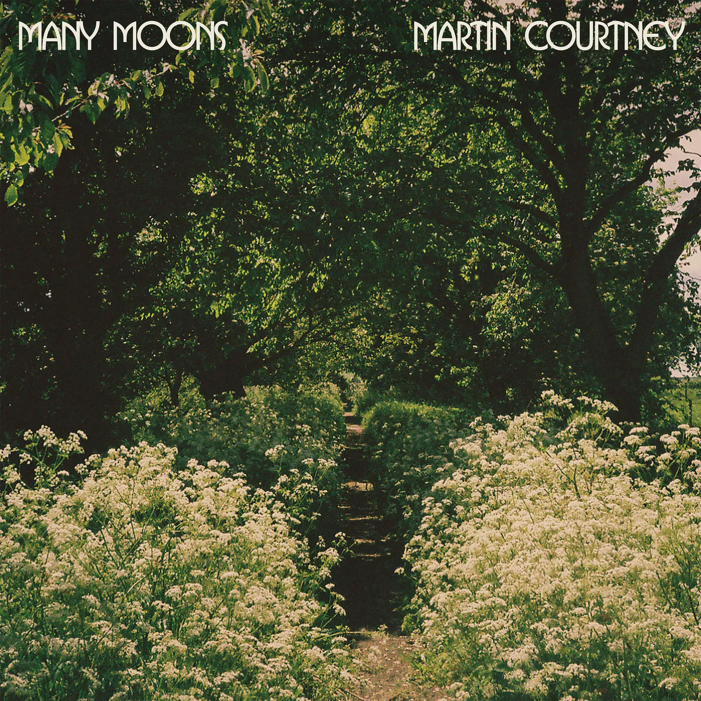Martin Courtney MANY MOONS CD