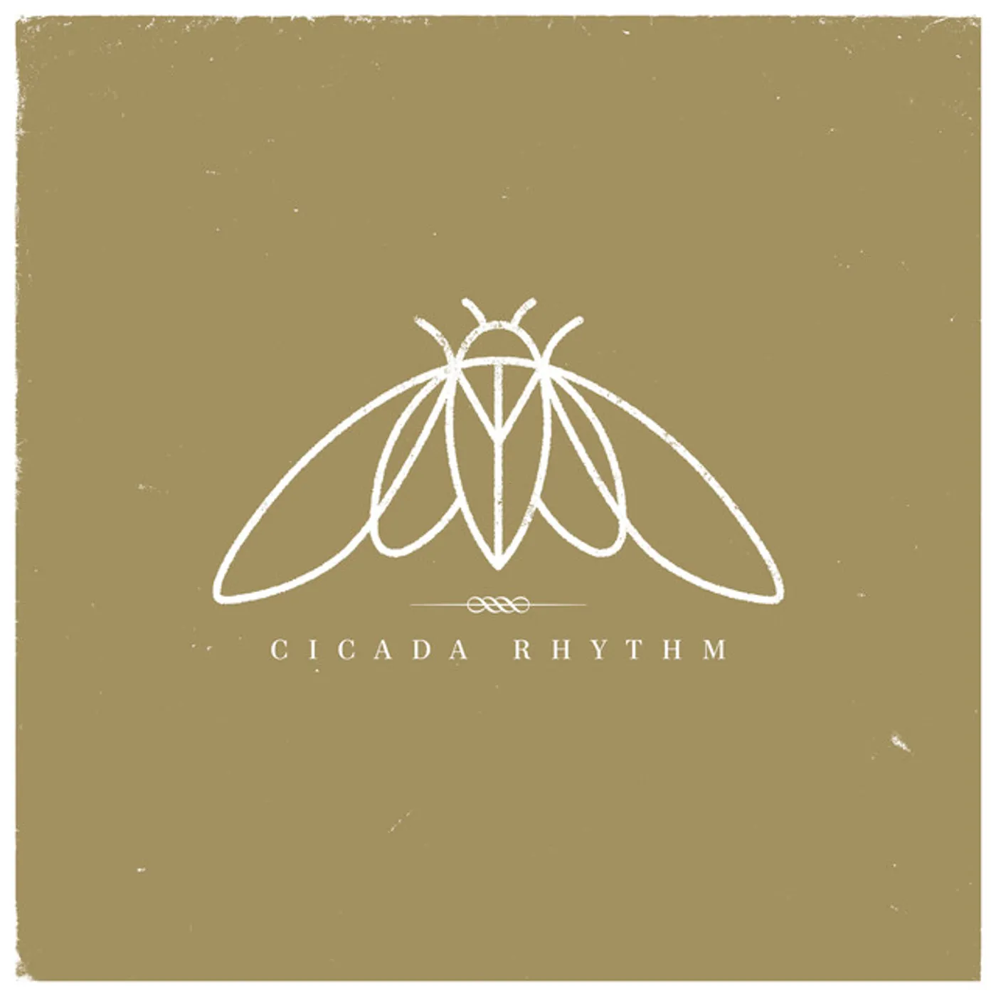 Cicada Rhythm Vinyl Record