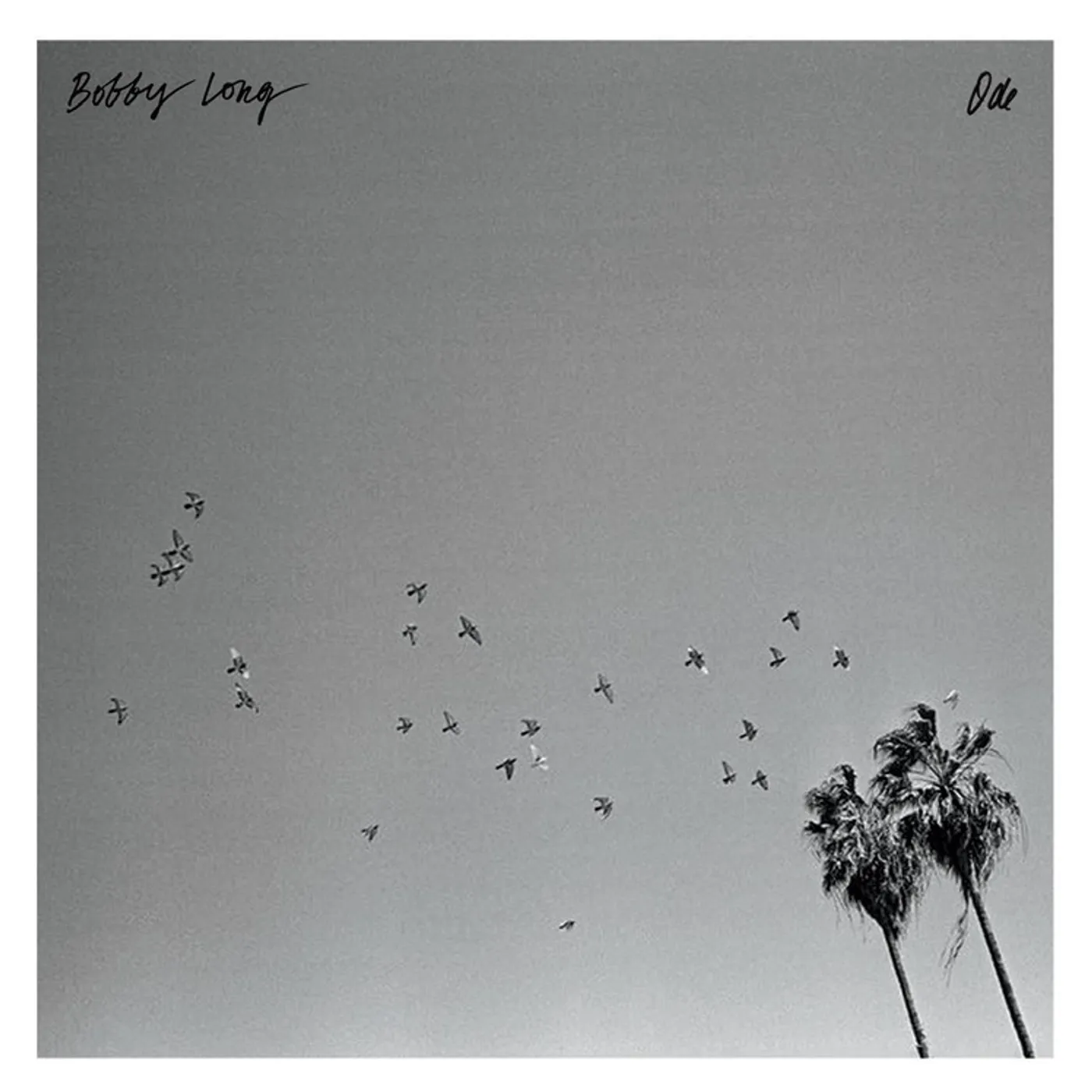 Bobby Long ODE Vinyl Record