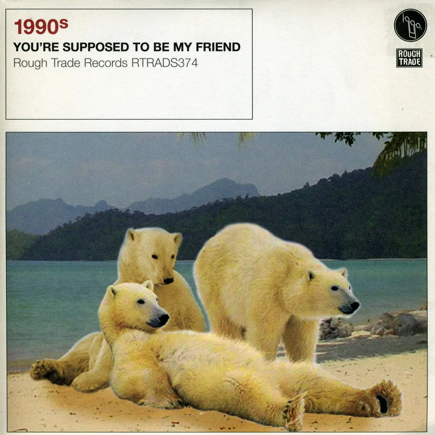 1990s You're Supposed To Be My Friend Vinyl Record