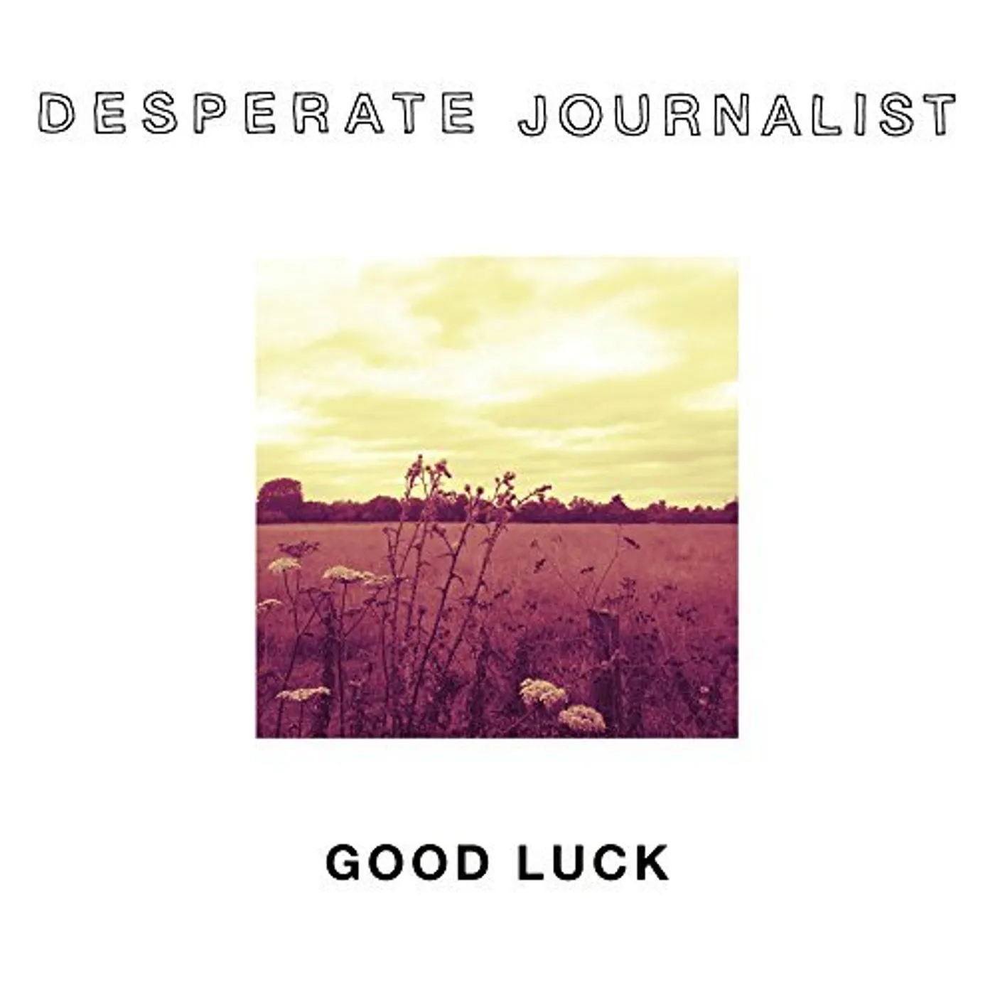 Desperate Journalist GOOD LUCK CD