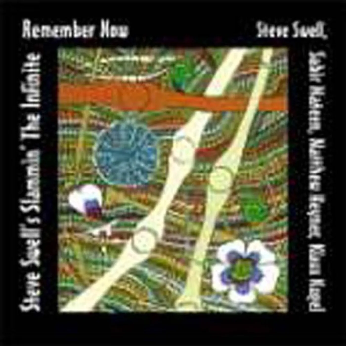 Steve Swell REMEMBER NOW CD
