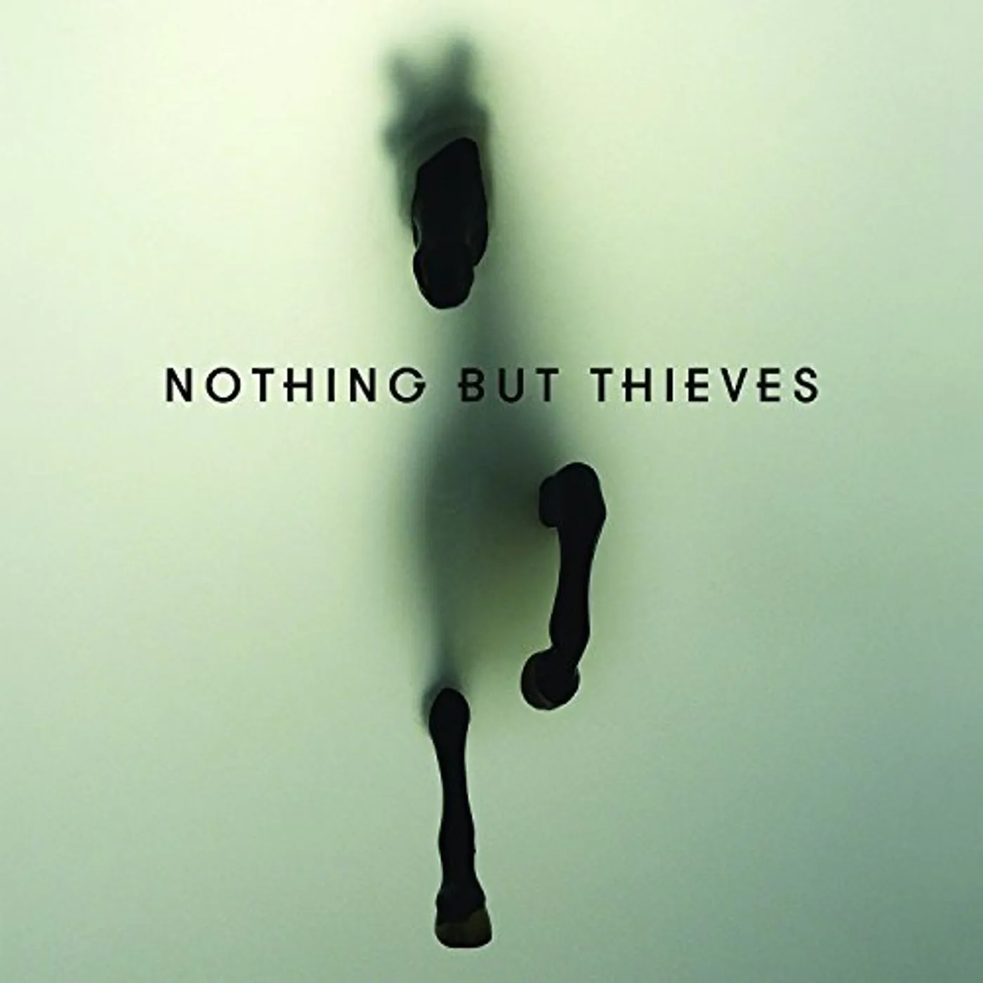 Nothing But Thieves Vinyl Record