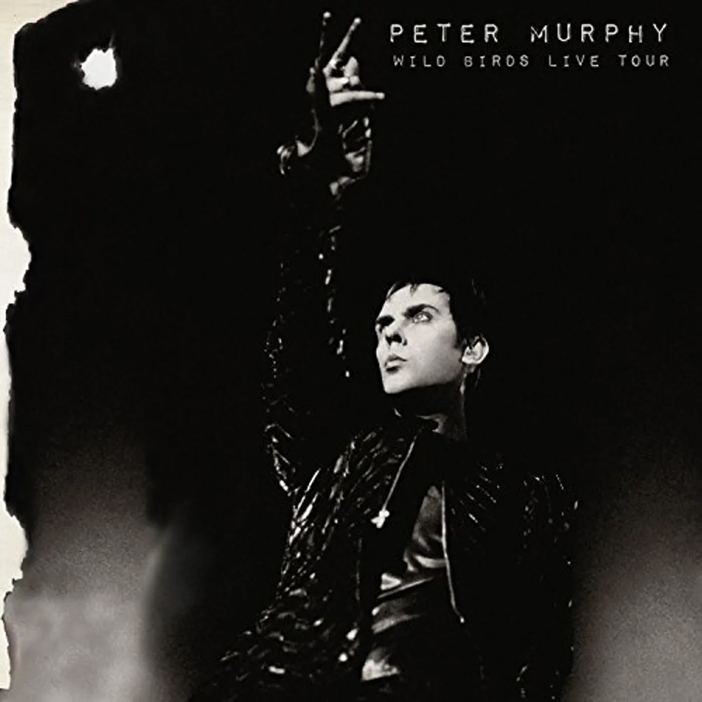 Peter Murphy WILD BIRDS LIVE TOUR CD