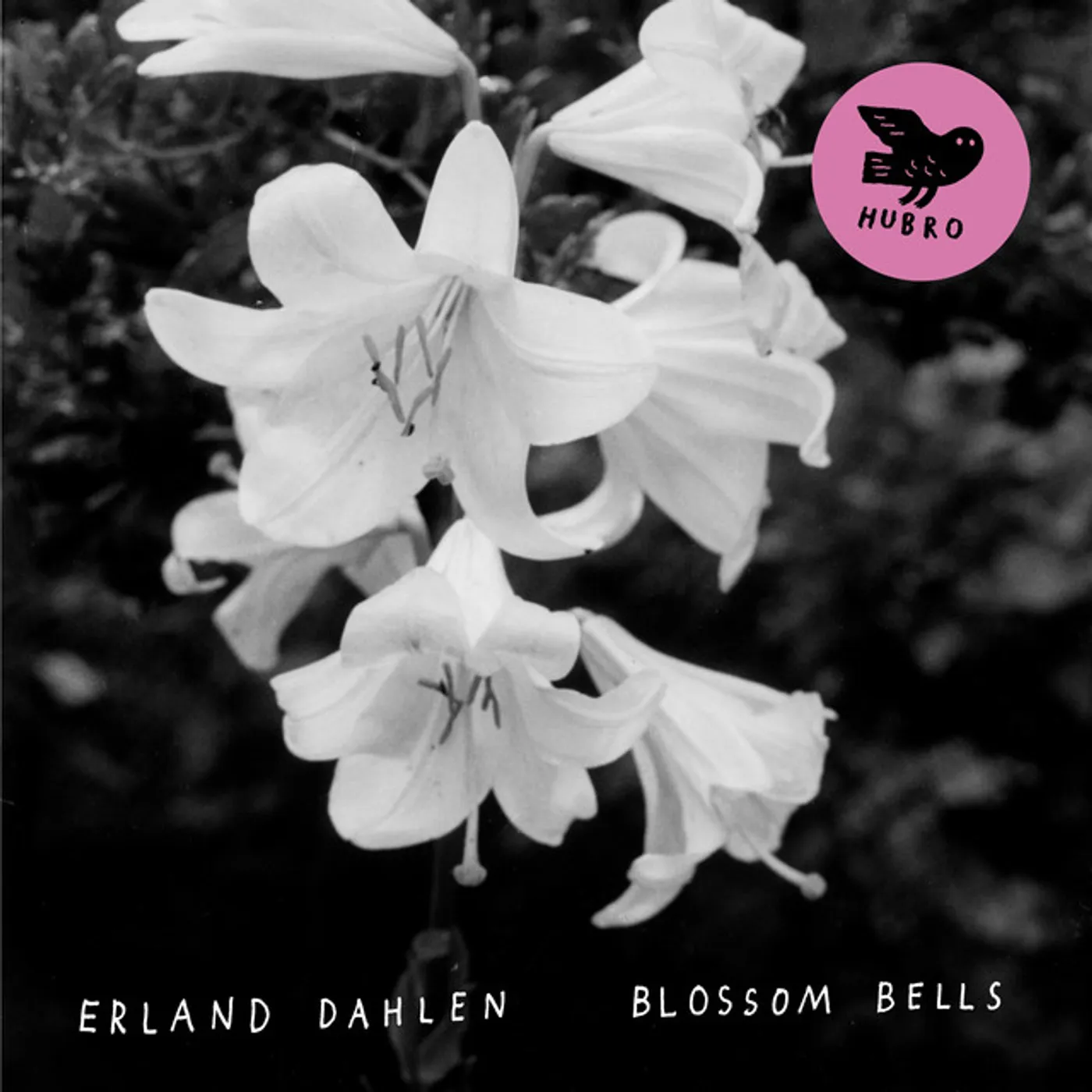 Erland Dahlen Blossom Bells Vinyl Record