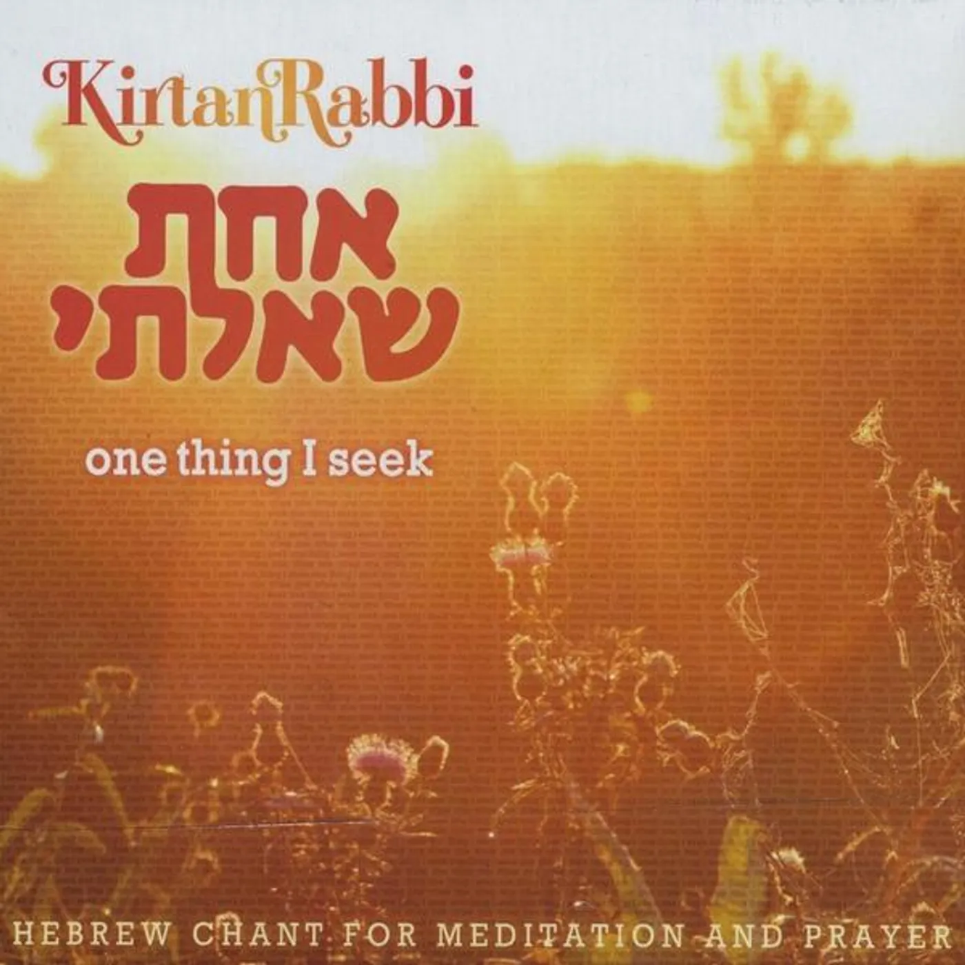 Kirtan Rabbi ONE THING I SEEK (ACHAT SHA'ALTI) CD
