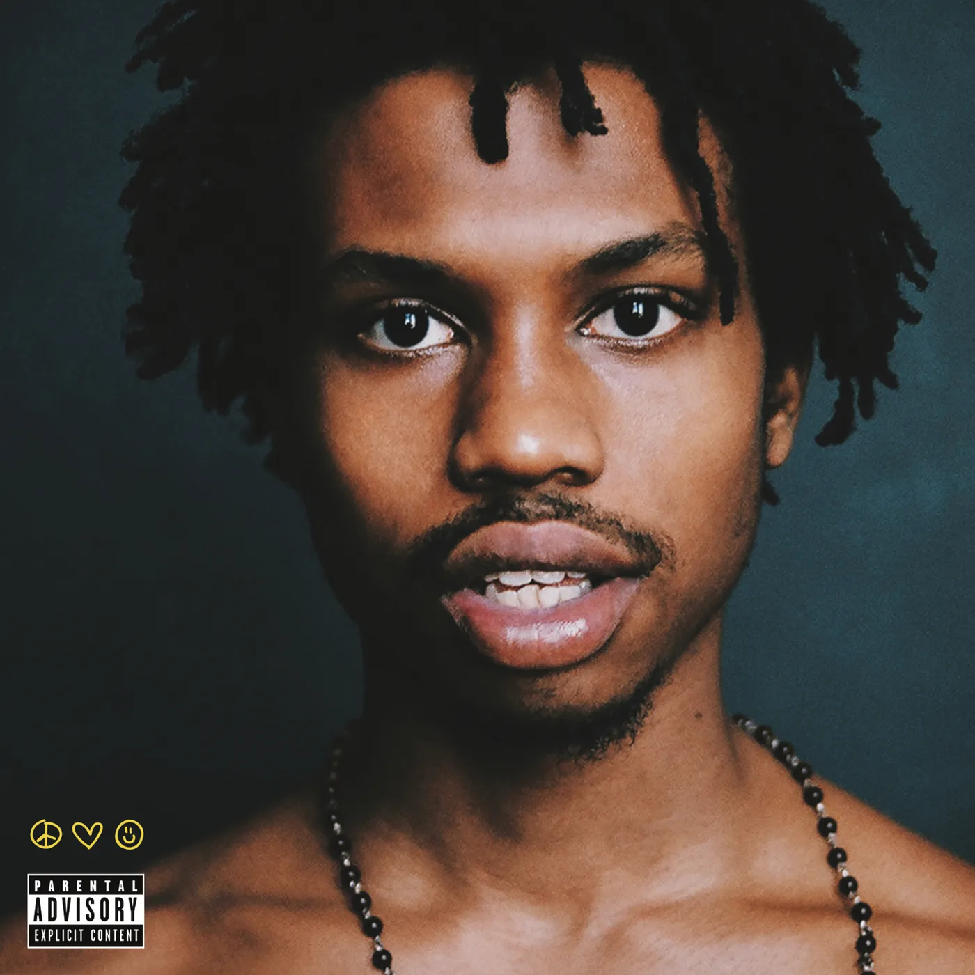 Raury All We Need Vinyl Record