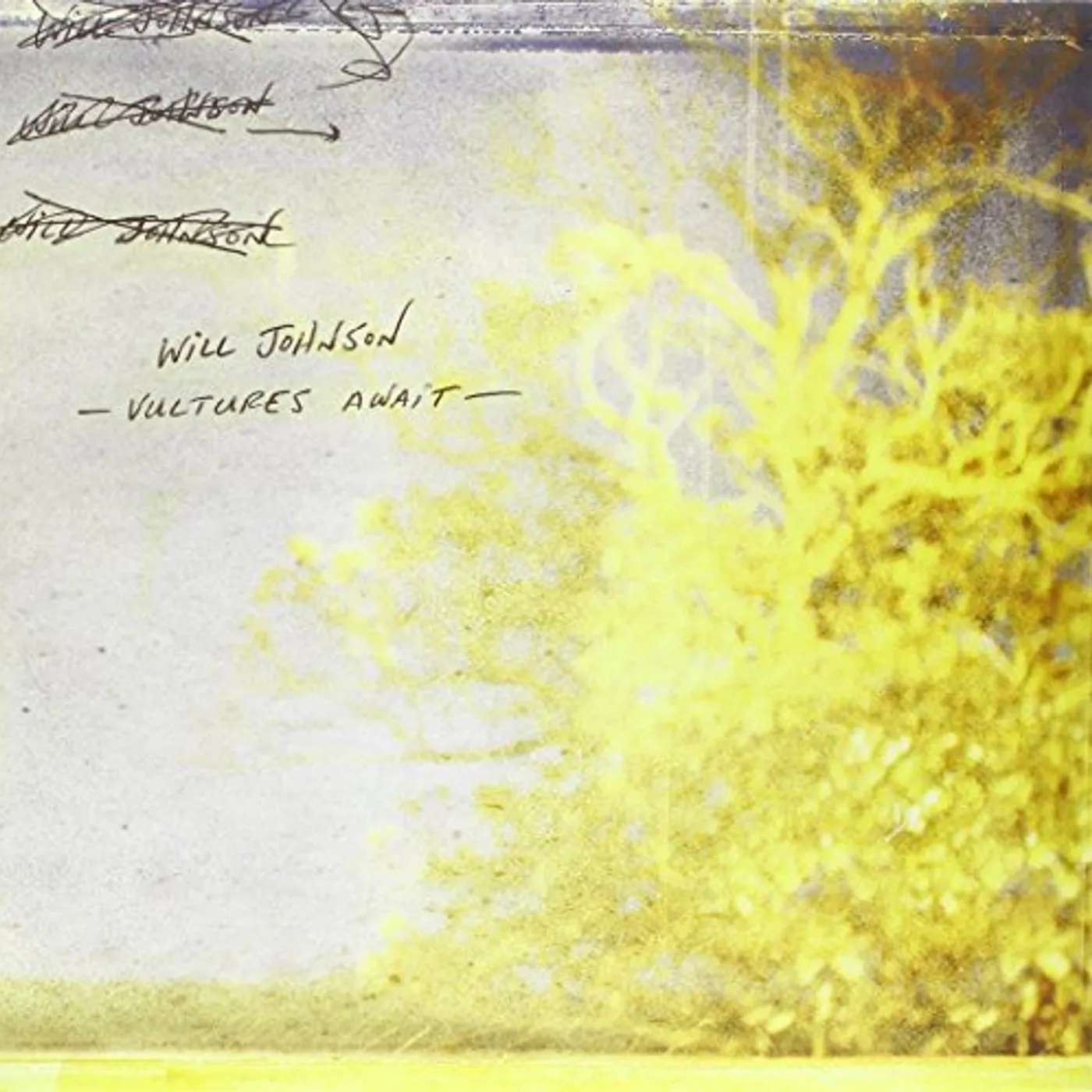 Will Johnson Vultures Await Vinyl Record