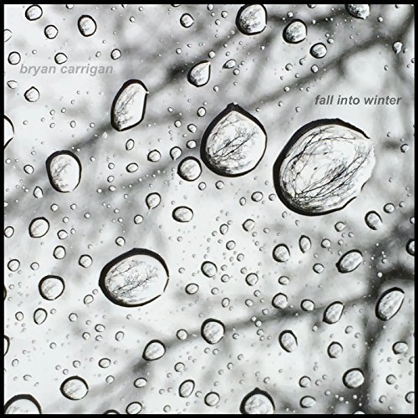Bryan Carrigan FALL INTO WINTER CD