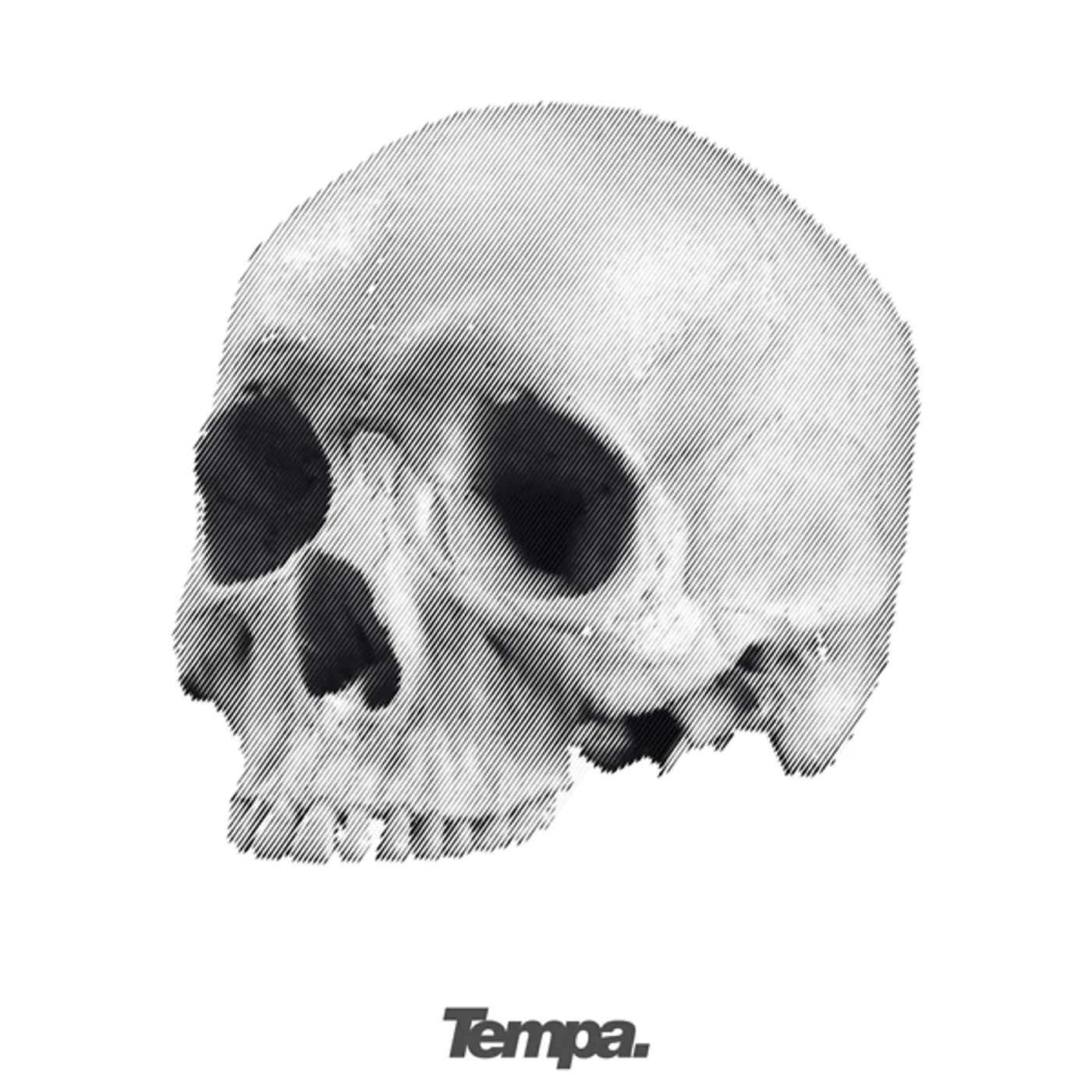 AxH Numbskull Vinyl Record