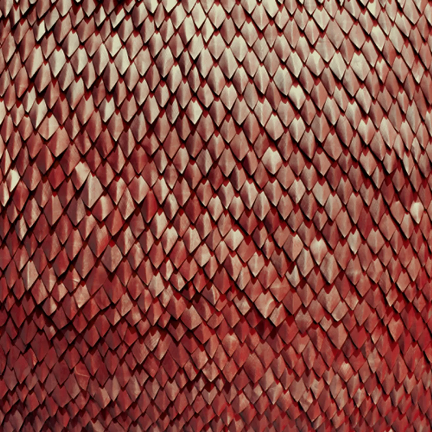 Kill The Vultures CARNELIAN CD