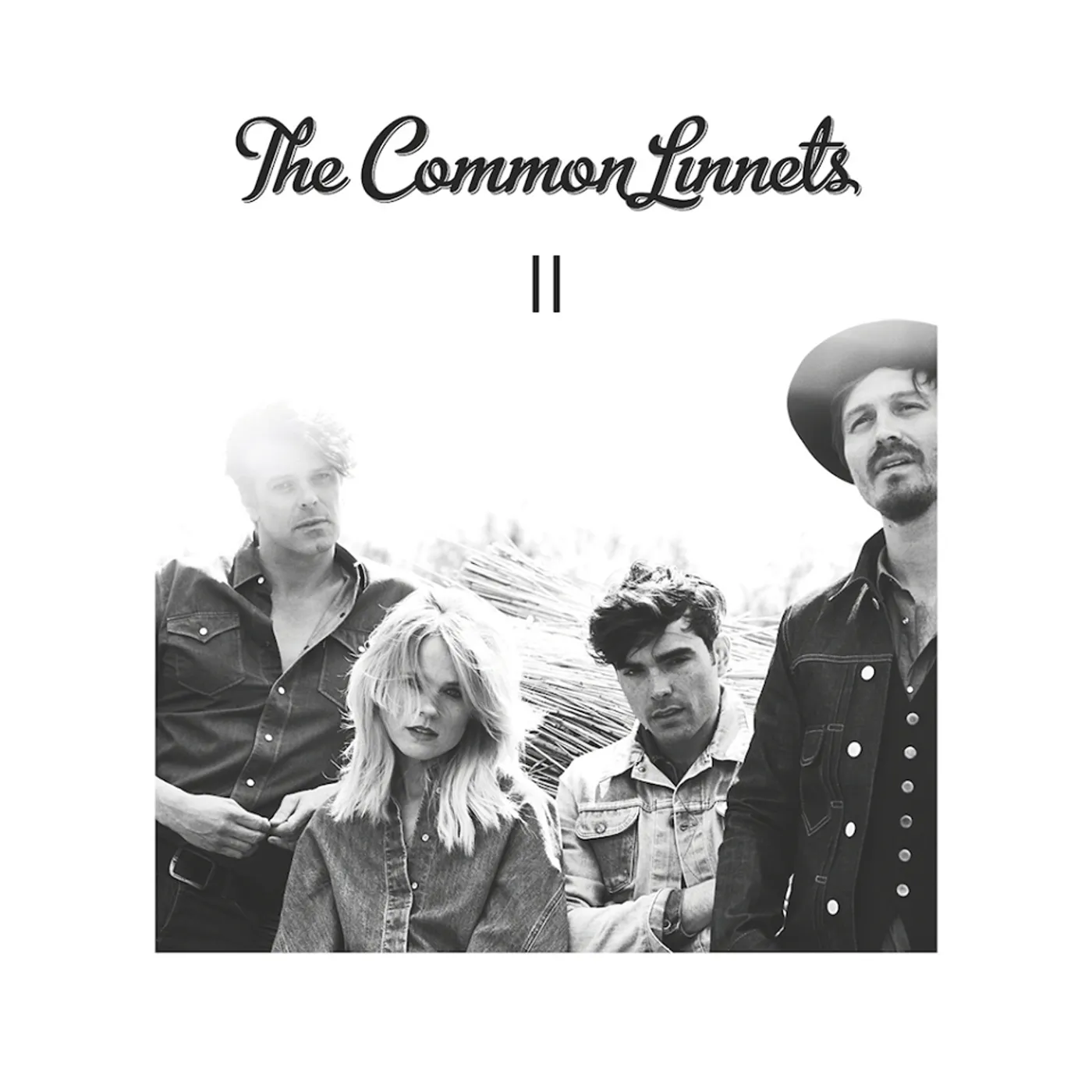 The Common Linnets II Vinyl Record