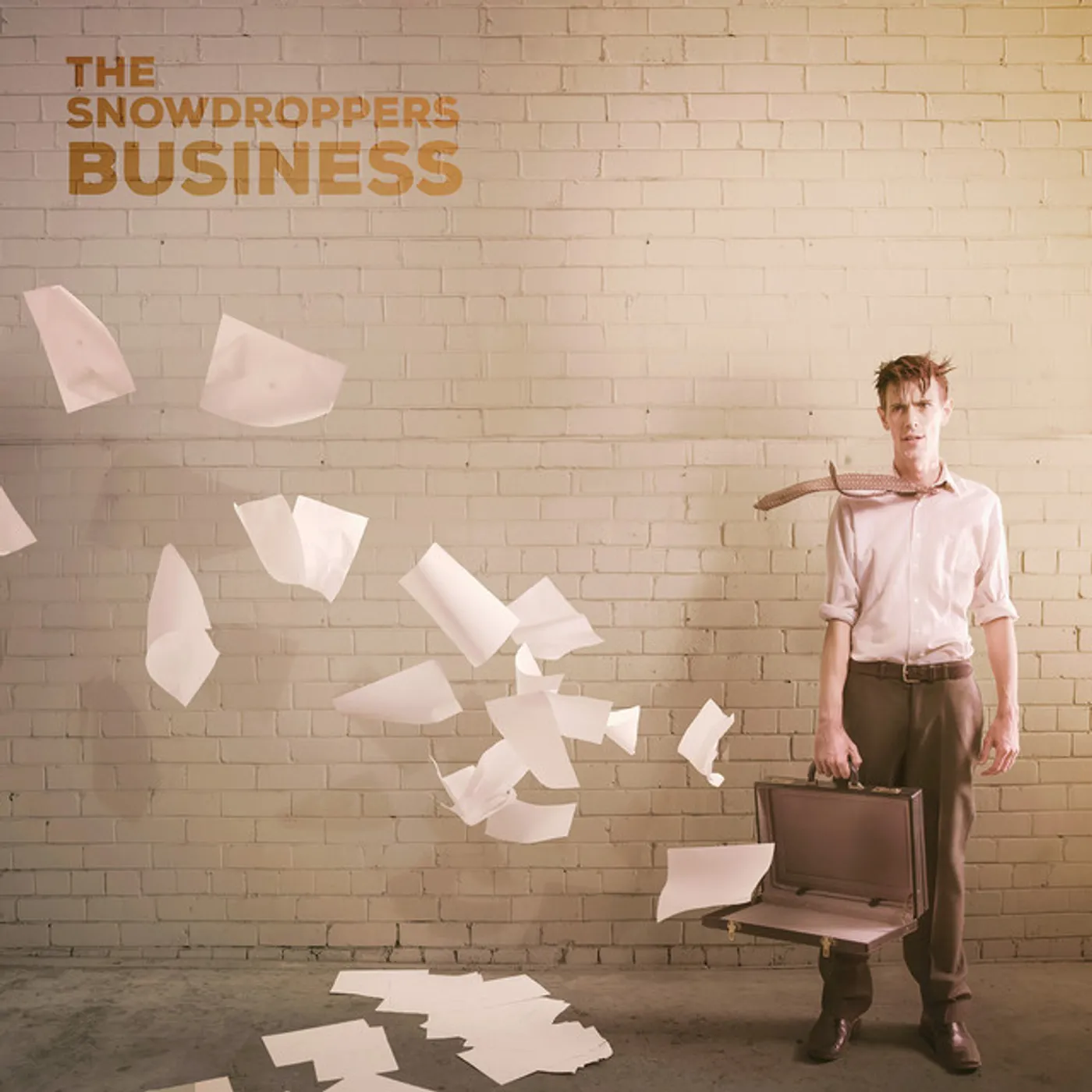 The Snowdroppers Business Vinyl Record