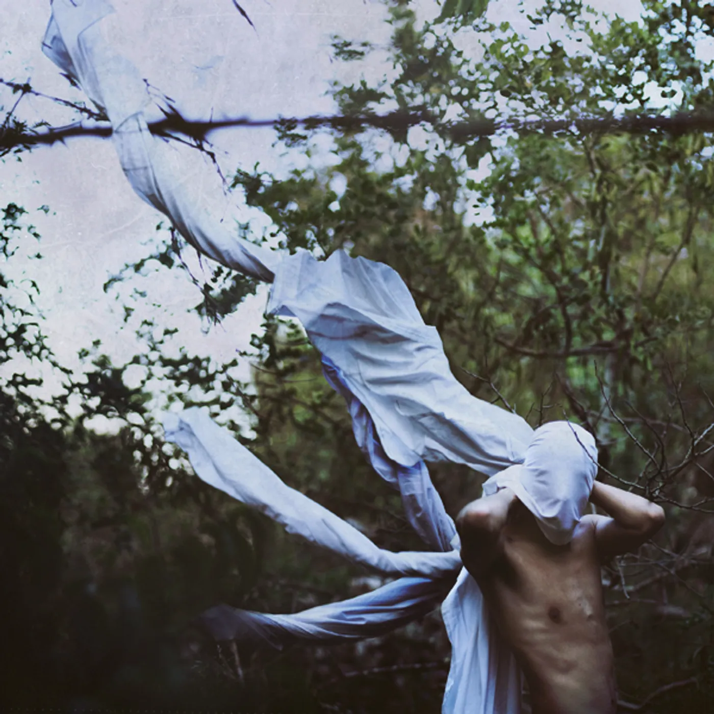 Petre Inspirescu VIN PLOILE CD