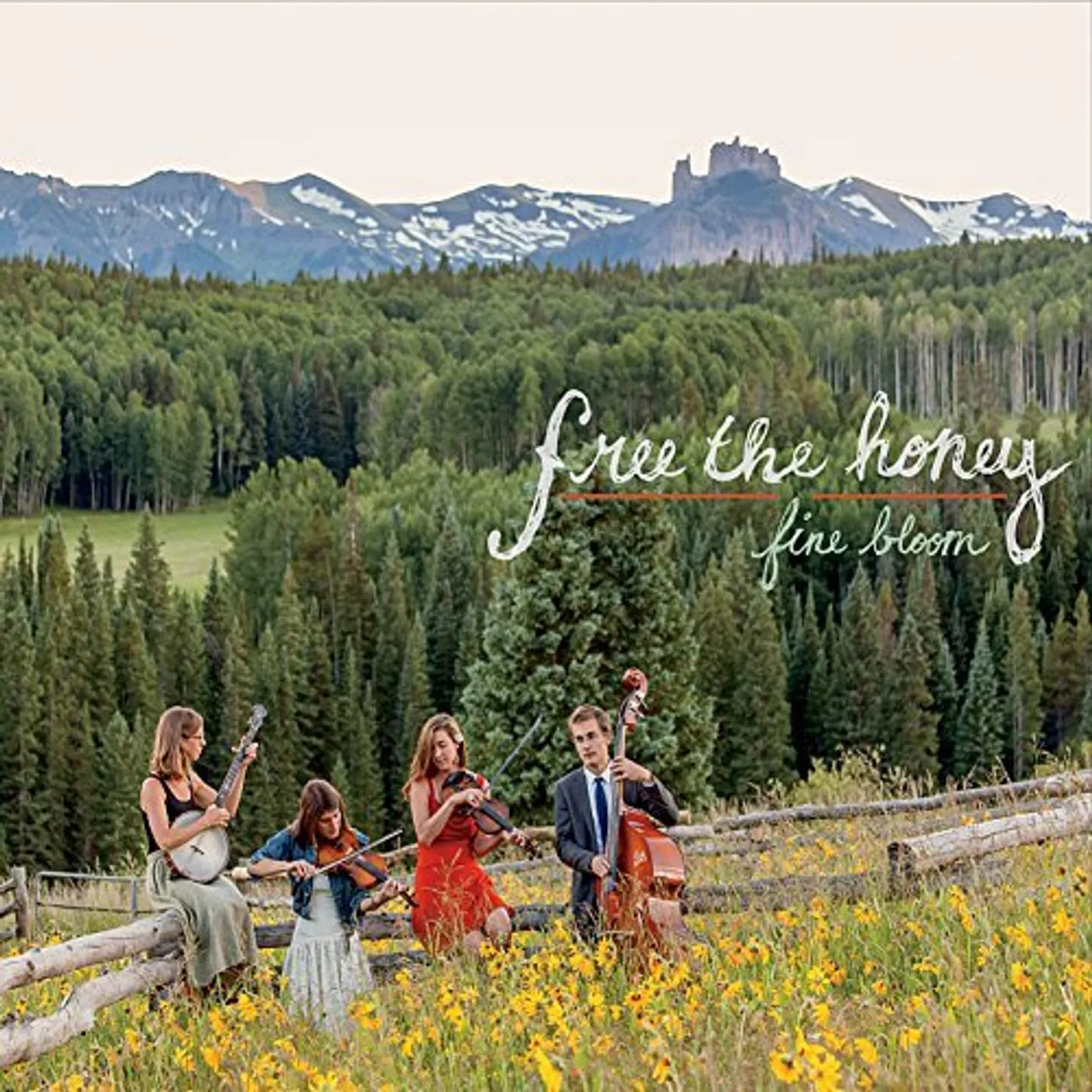 Free the Honey FINE BLOOM CD