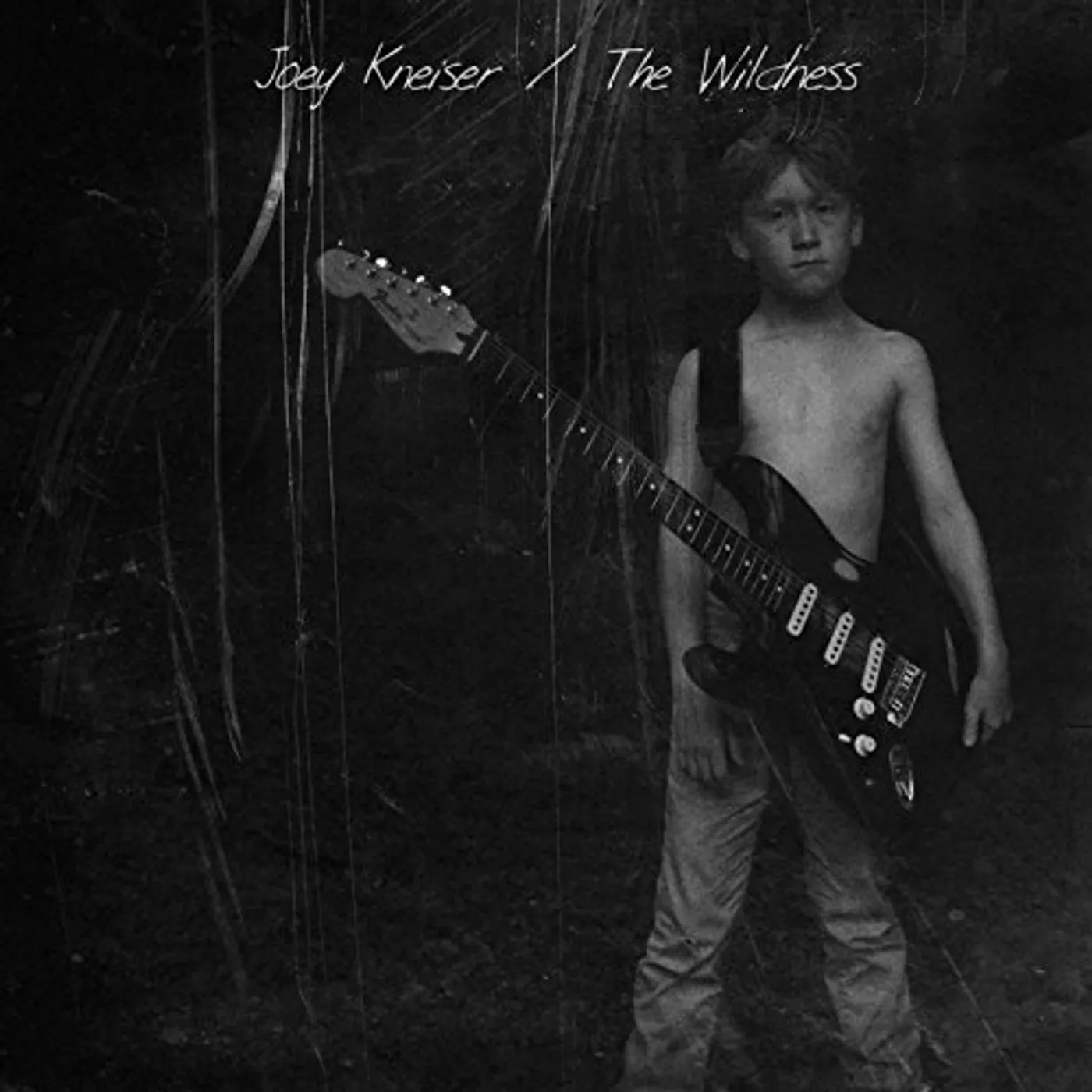 Joey Kneiser WILDNESS Vinyl Record