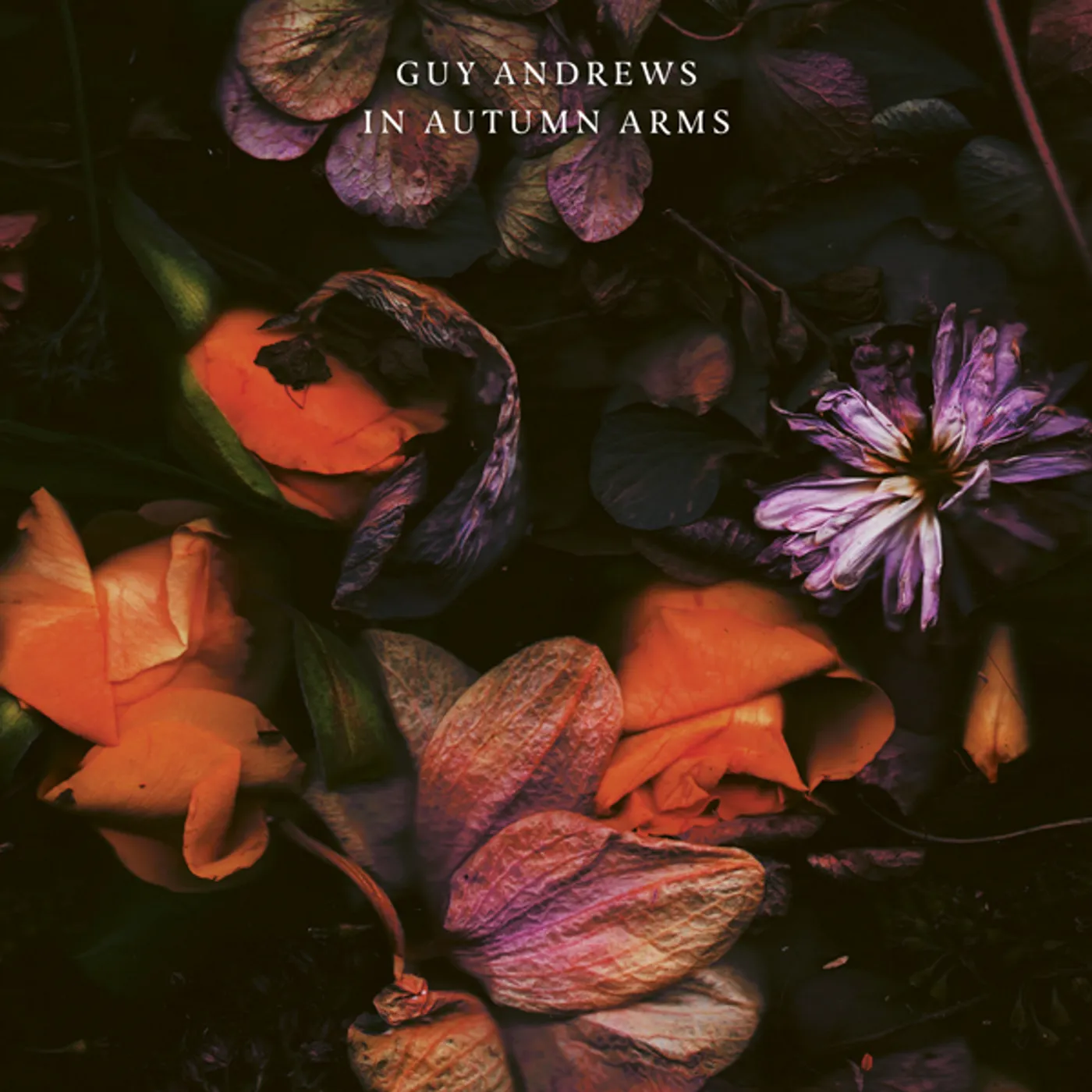Guy Andrews In Autumn Arms Vinyl Record
