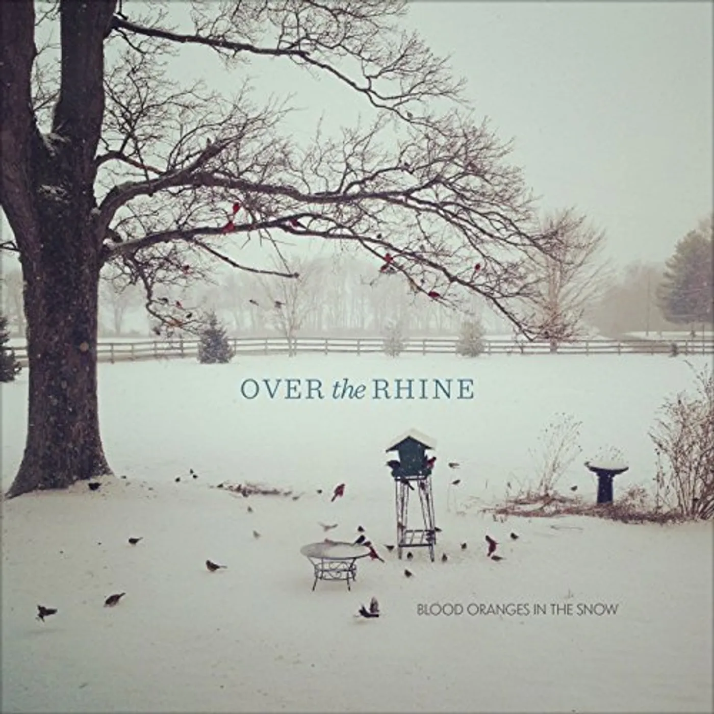 Over the Rhine Blood Oranges In The Snow Vinyl Record