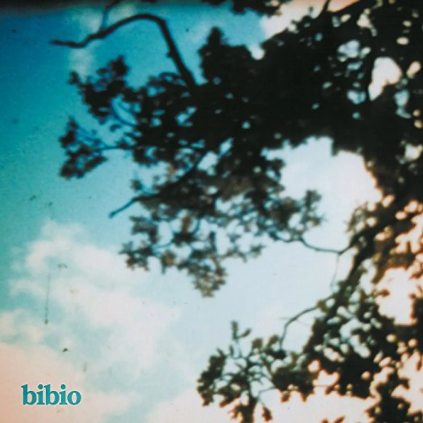 Bibio FI Vinyl Record