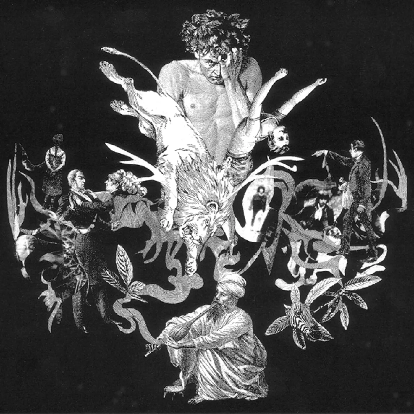 Andreas Martin LEBENSERINNERUNGEN EINES LEPIDOPTEROLOGEN CD