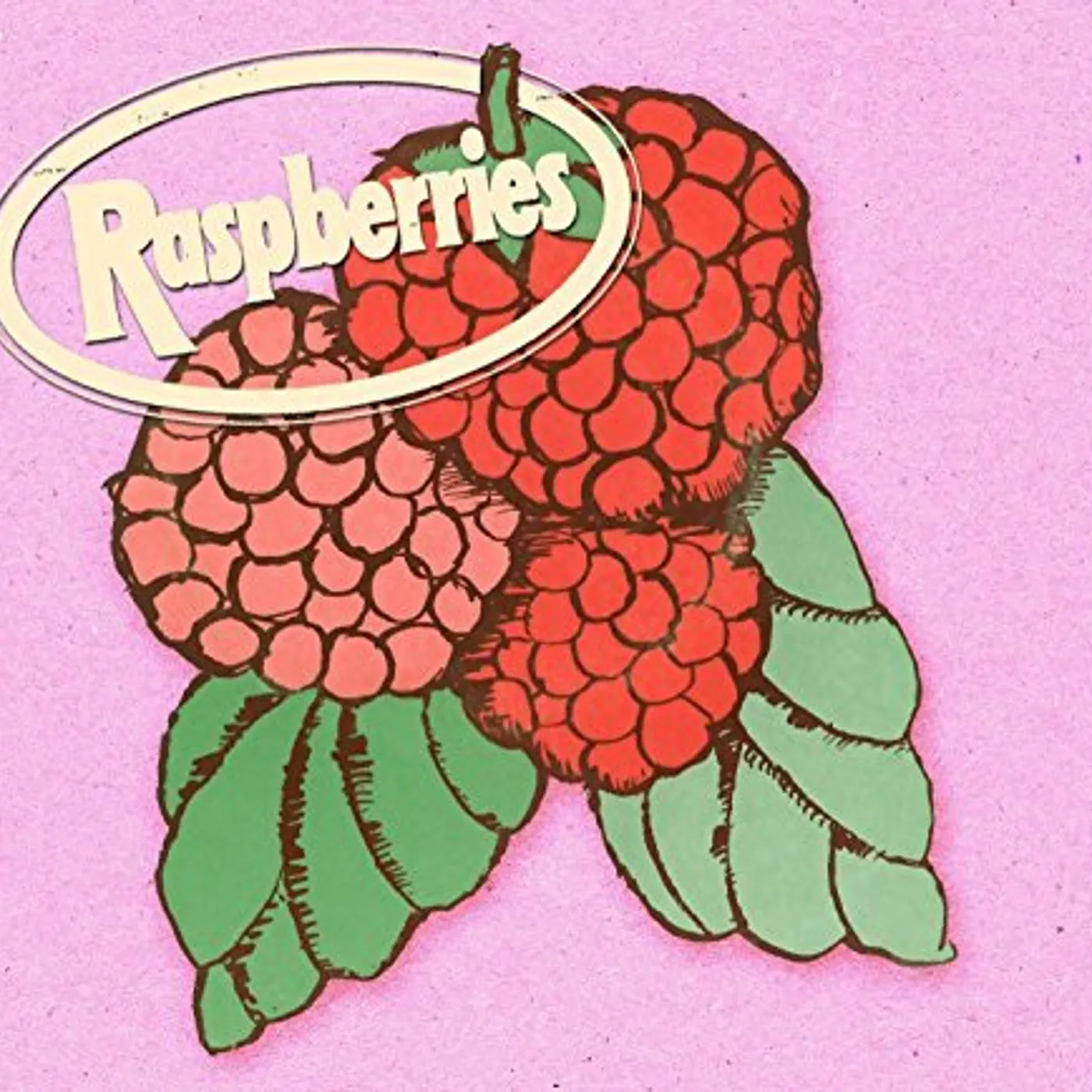 Raspberries CLASSIC ALBUM BOX SET CD