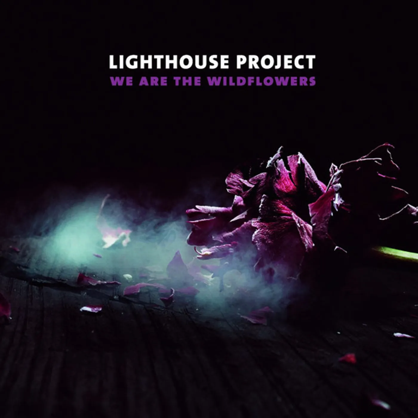 Lighthouse Project We Are The Wildflowers Vinyl Record