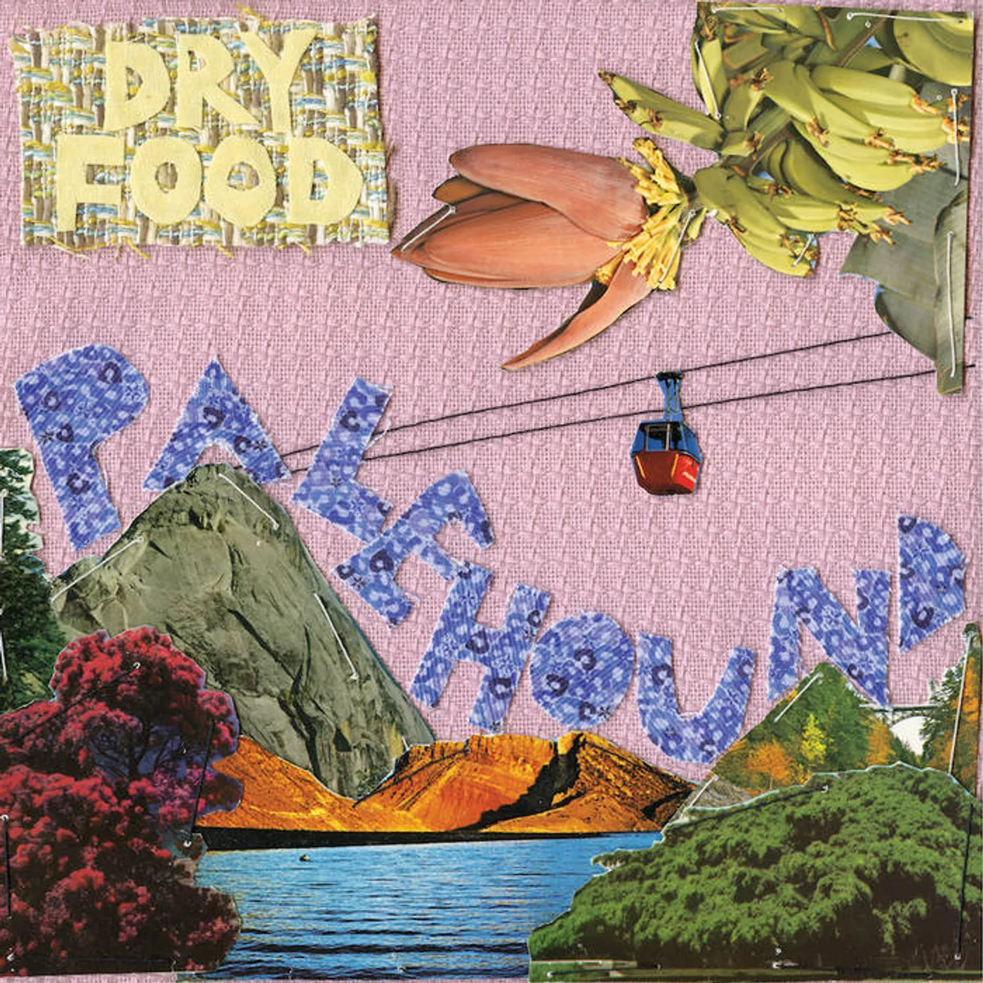 Palehound Dry Food Vinyl Record