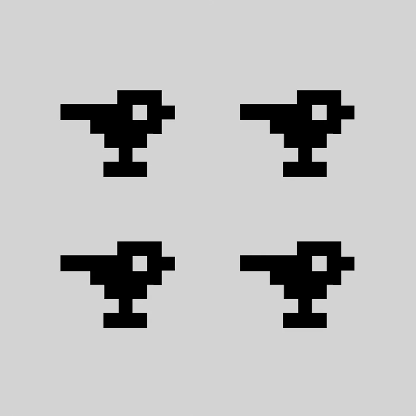 Anton Bruhin VOGELSANG / VOGELSONG / VOGELSUNG / VOGELSANG CD