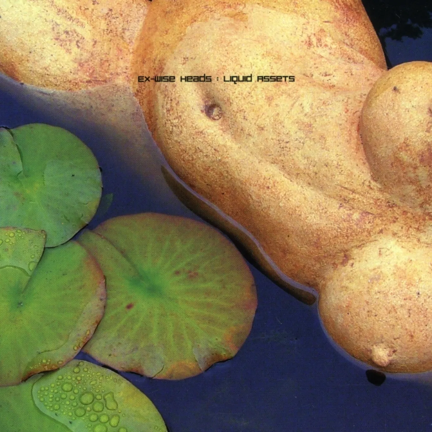 Ex-Wise Heads LIQUID ASSETS CD