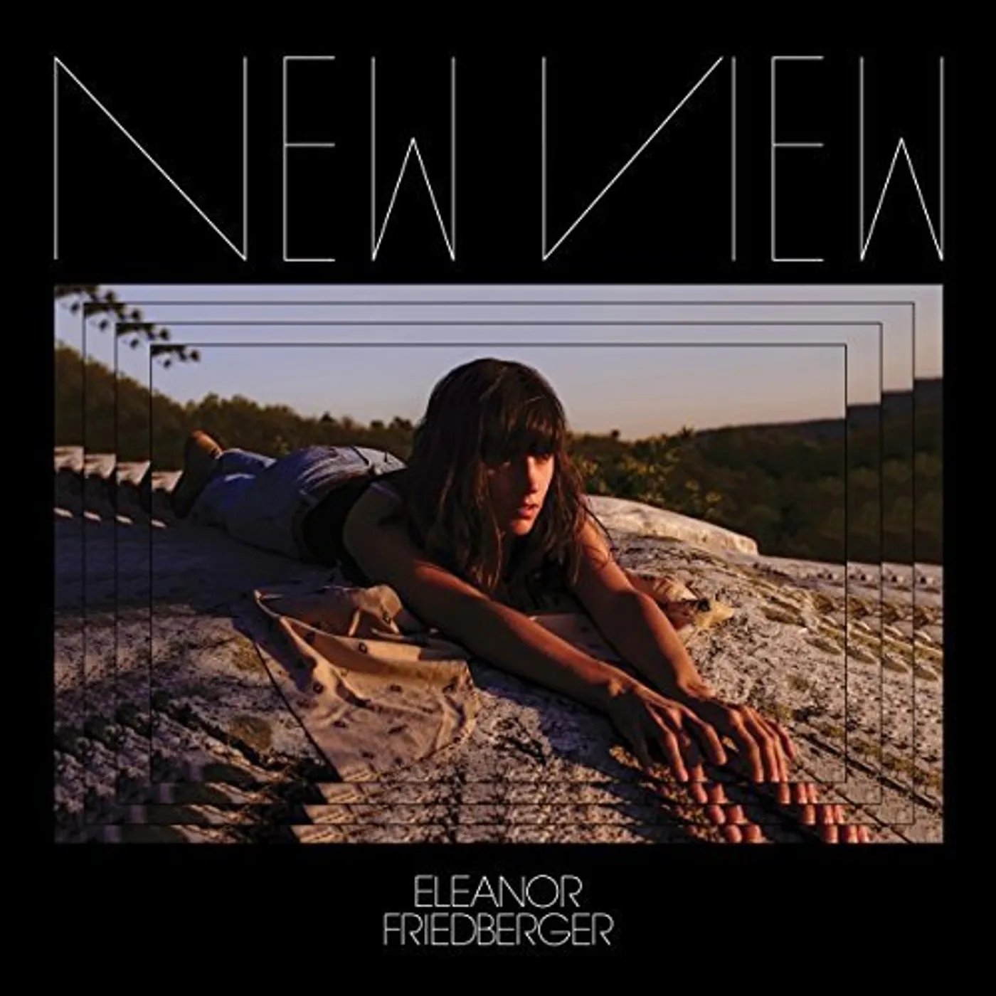 Eleanor Friedberger New View Vinyl Record