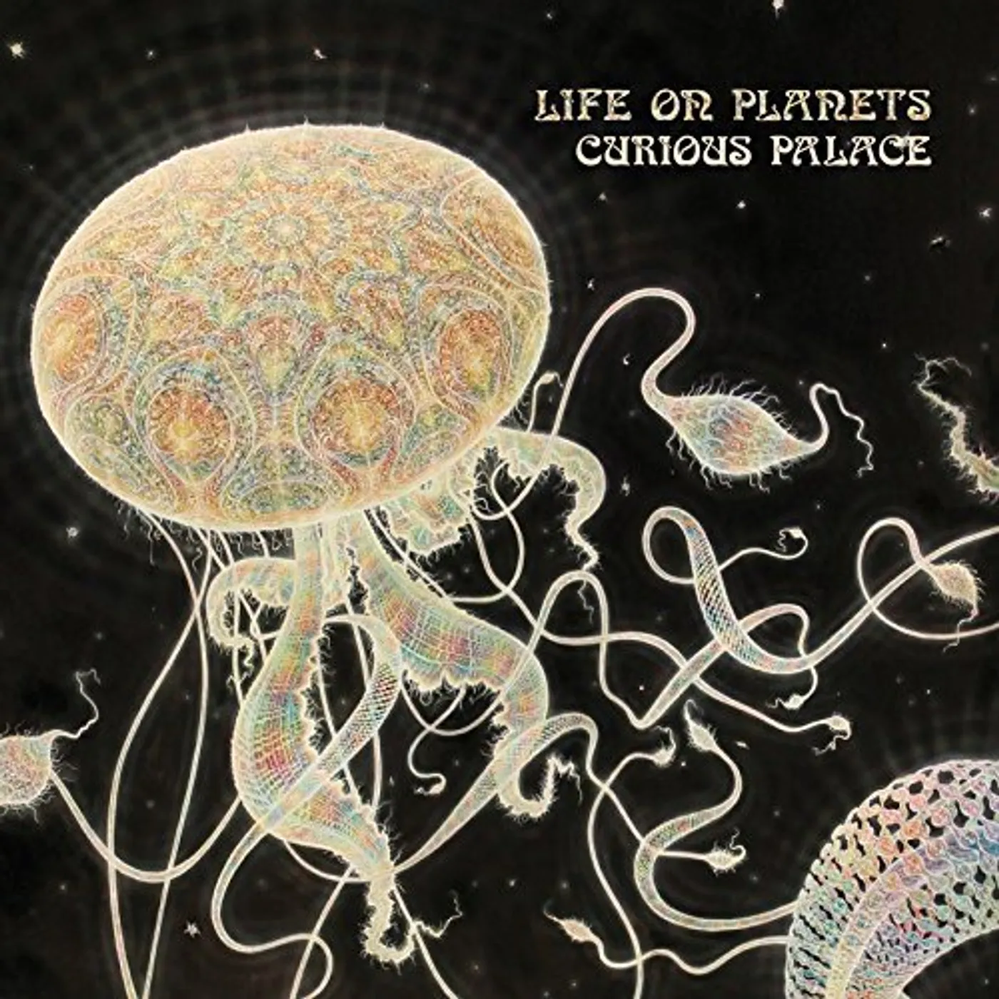 Life on Planets Curious Palace Vinyl Record