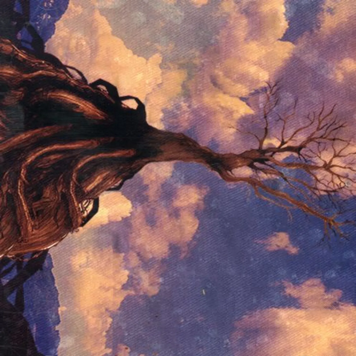 Murder By Death IN BOCCA AL LUPO CD